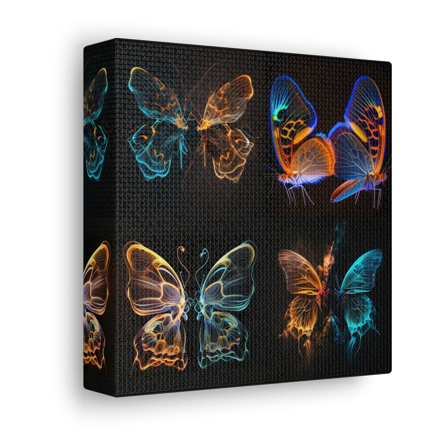 Canvas Gallery Wraps Neon Glo Butterfly 5