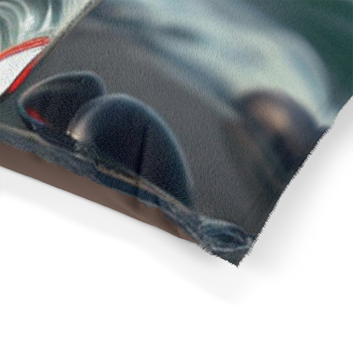 Pet Bed Red Anemone in a Vase 1