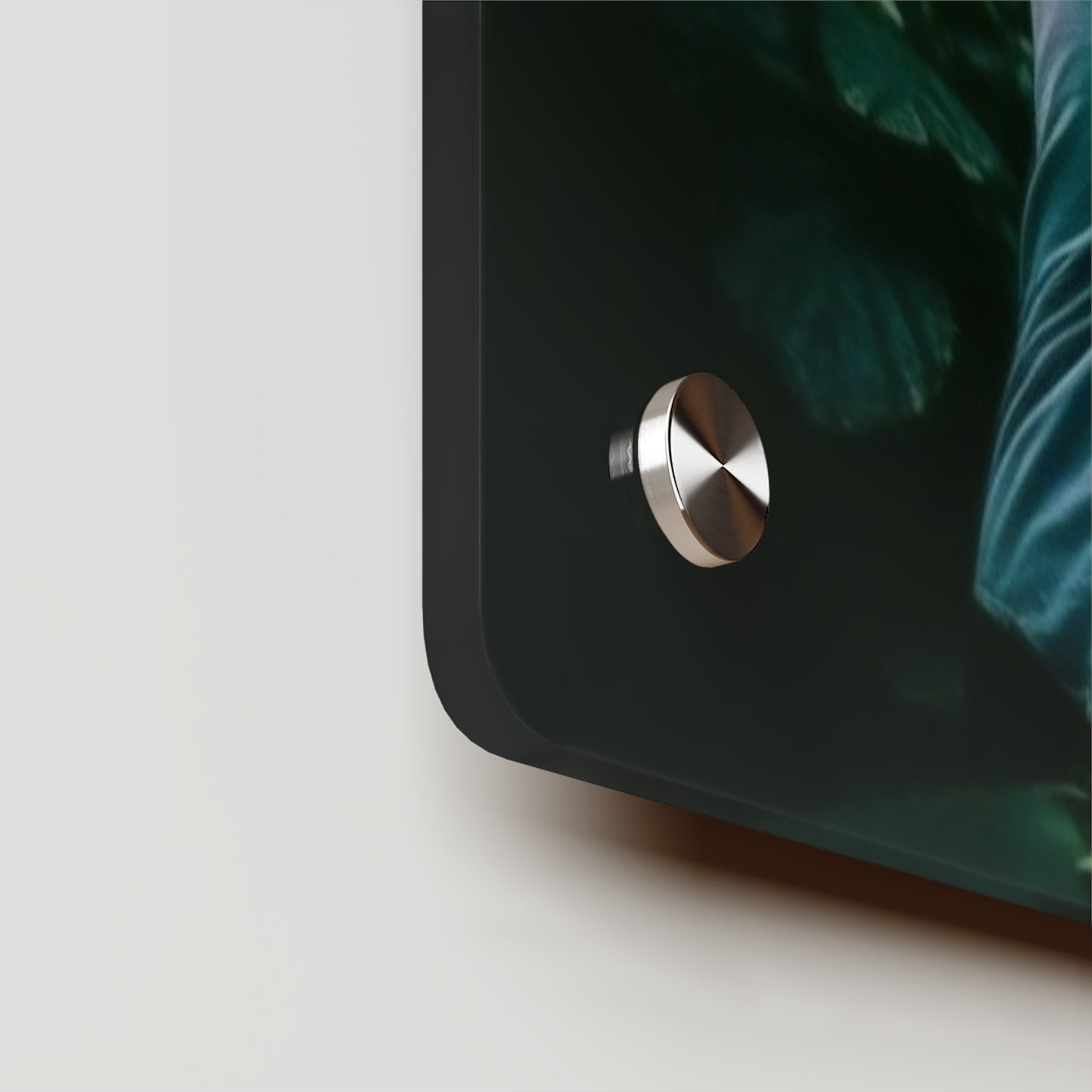 Acrylic Wall Art Panels Jungle Butterfly 1