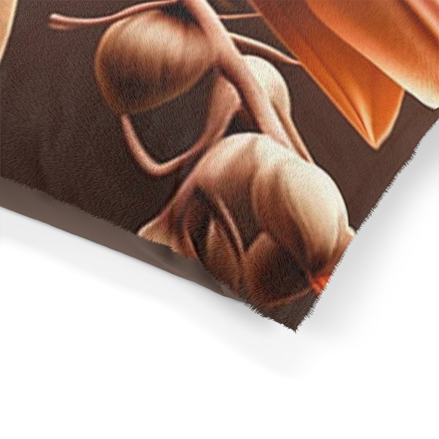 Pet Bed orchid pedals 3