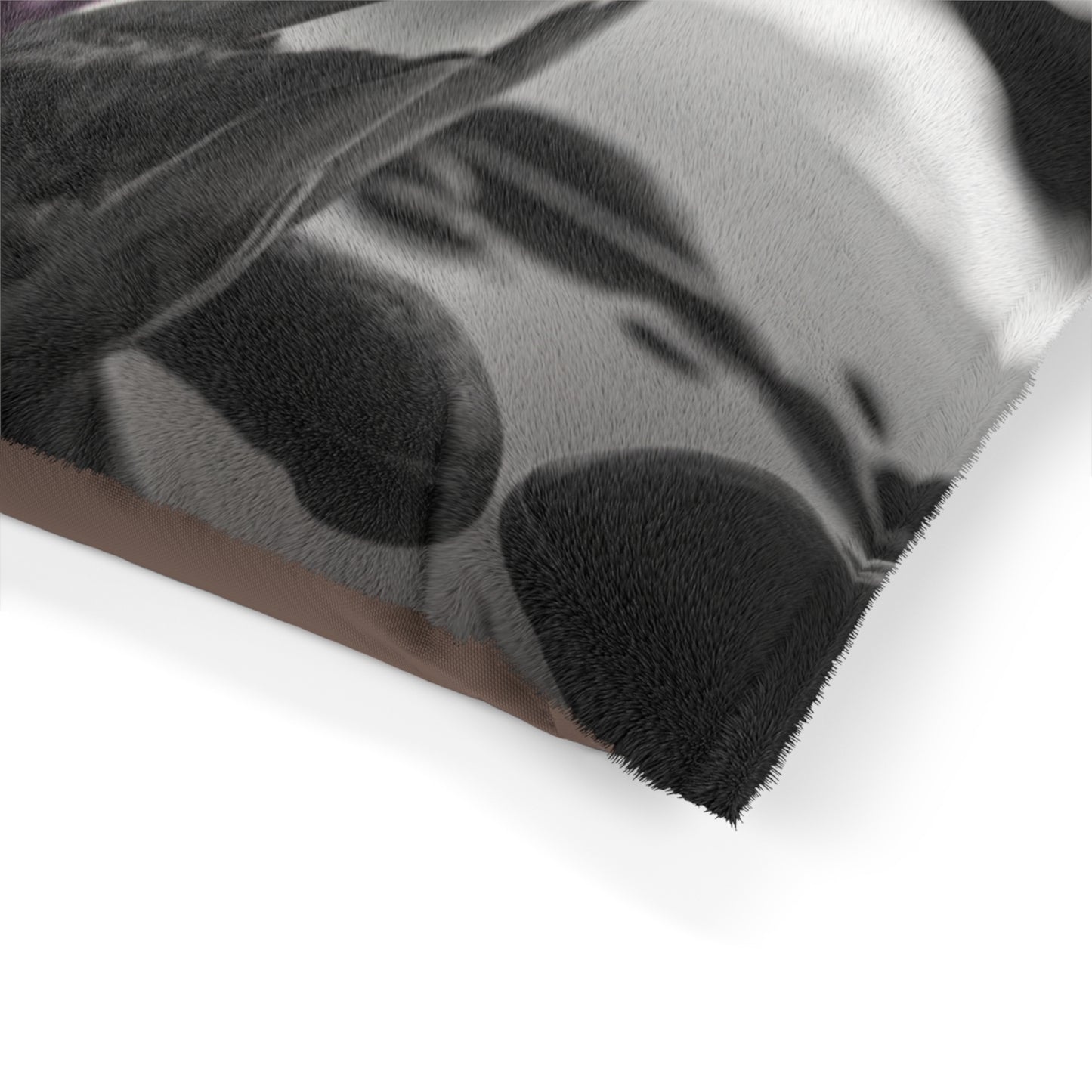 Pet Bed Purple Orchid Glass vase 2