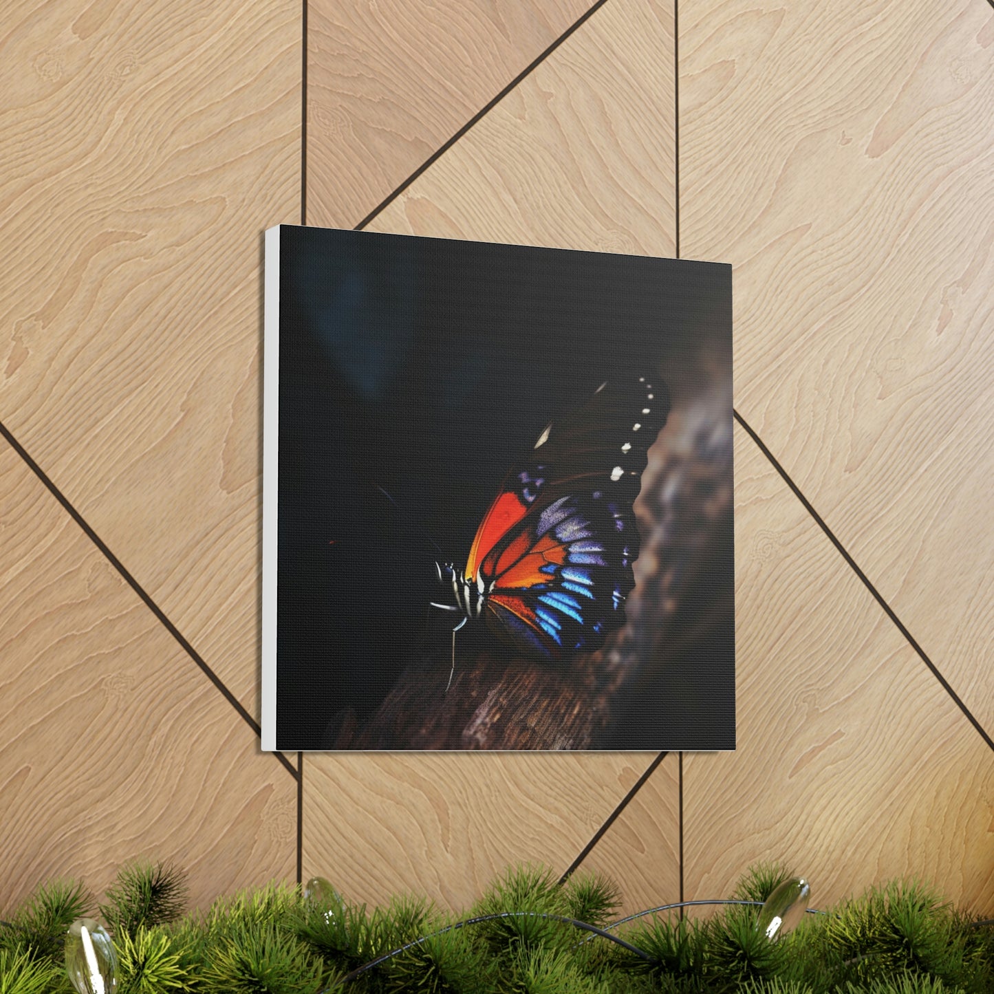 Butterfly real look close