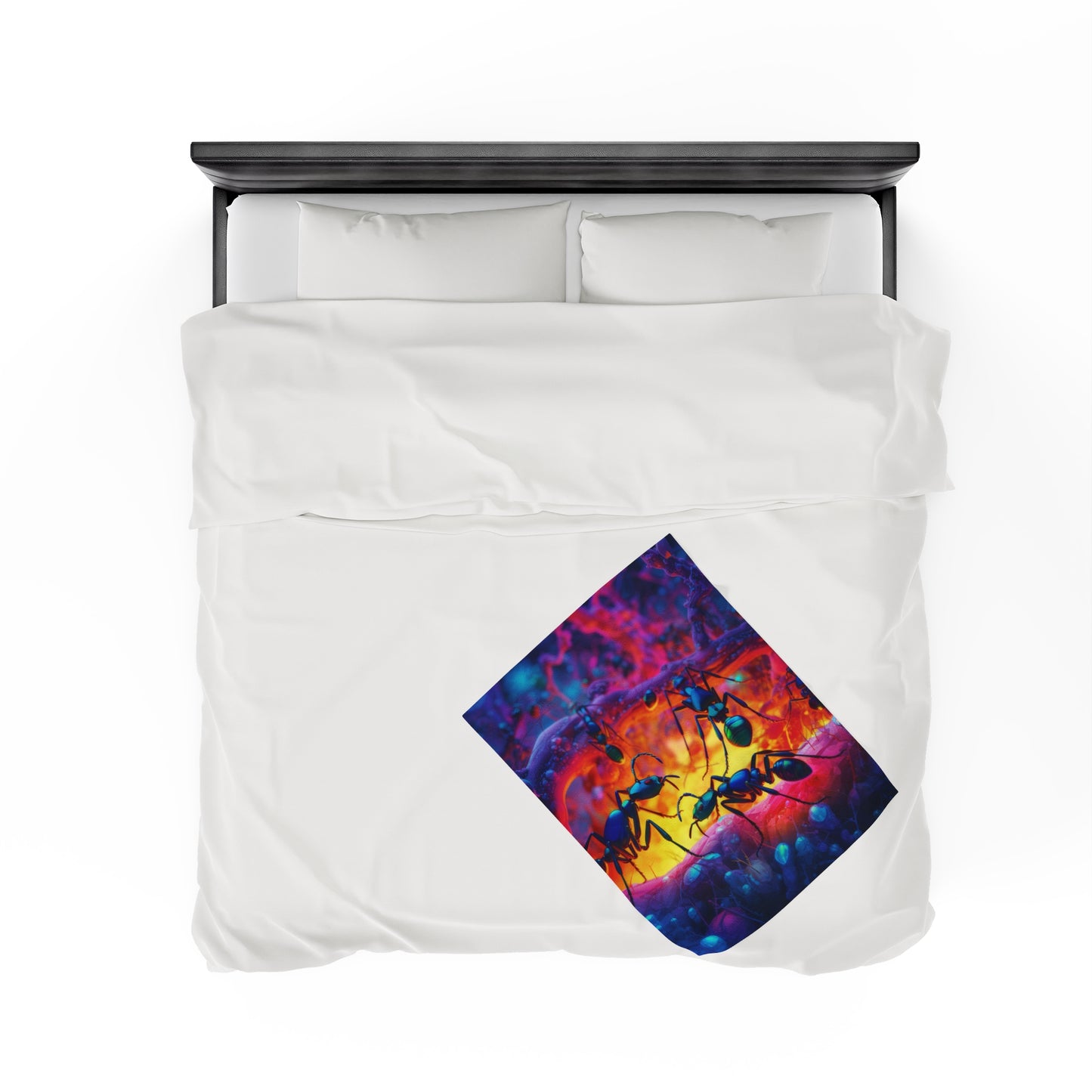 Velveteen Plush Blanket Ants Home 3