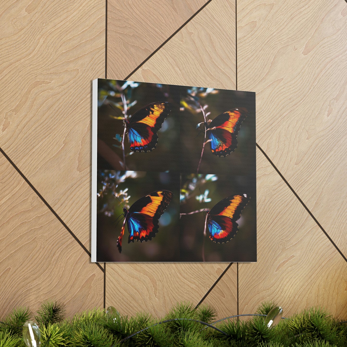 butterfly real look close 4