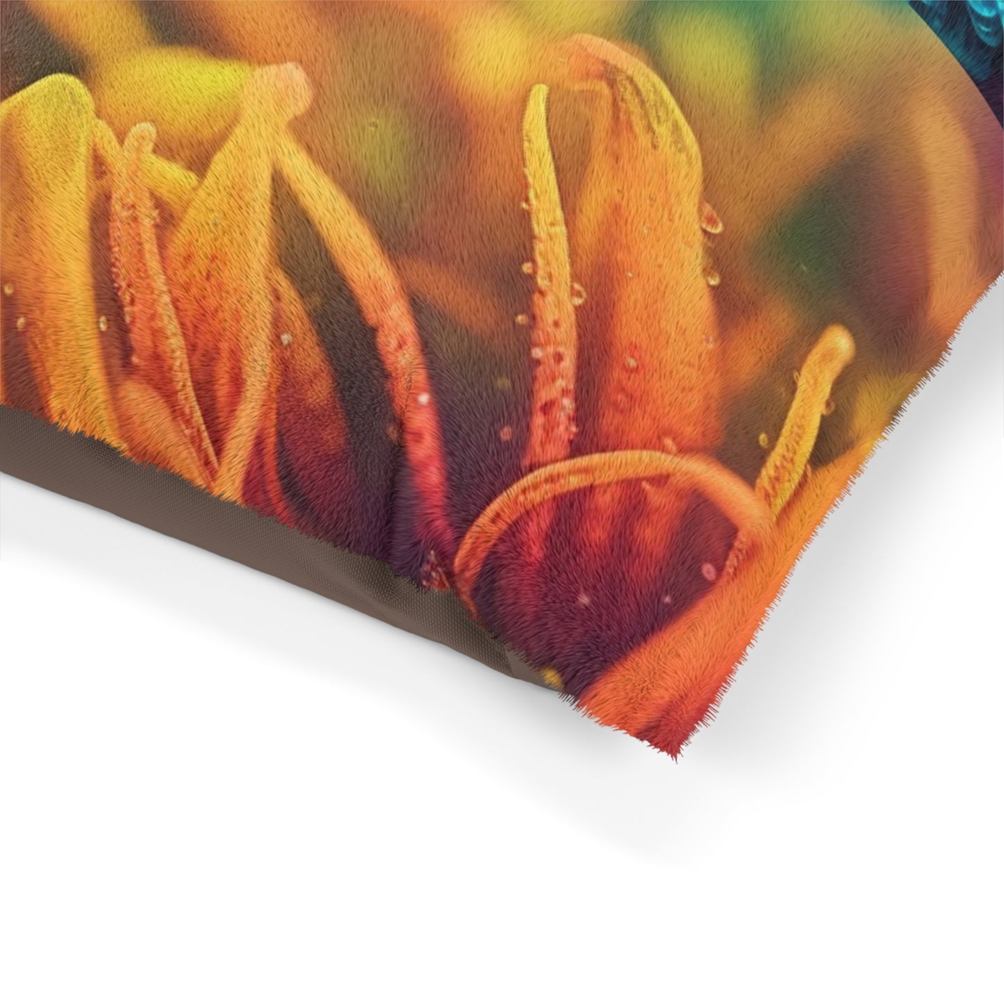 Pet Bed Macro Life Photo 1