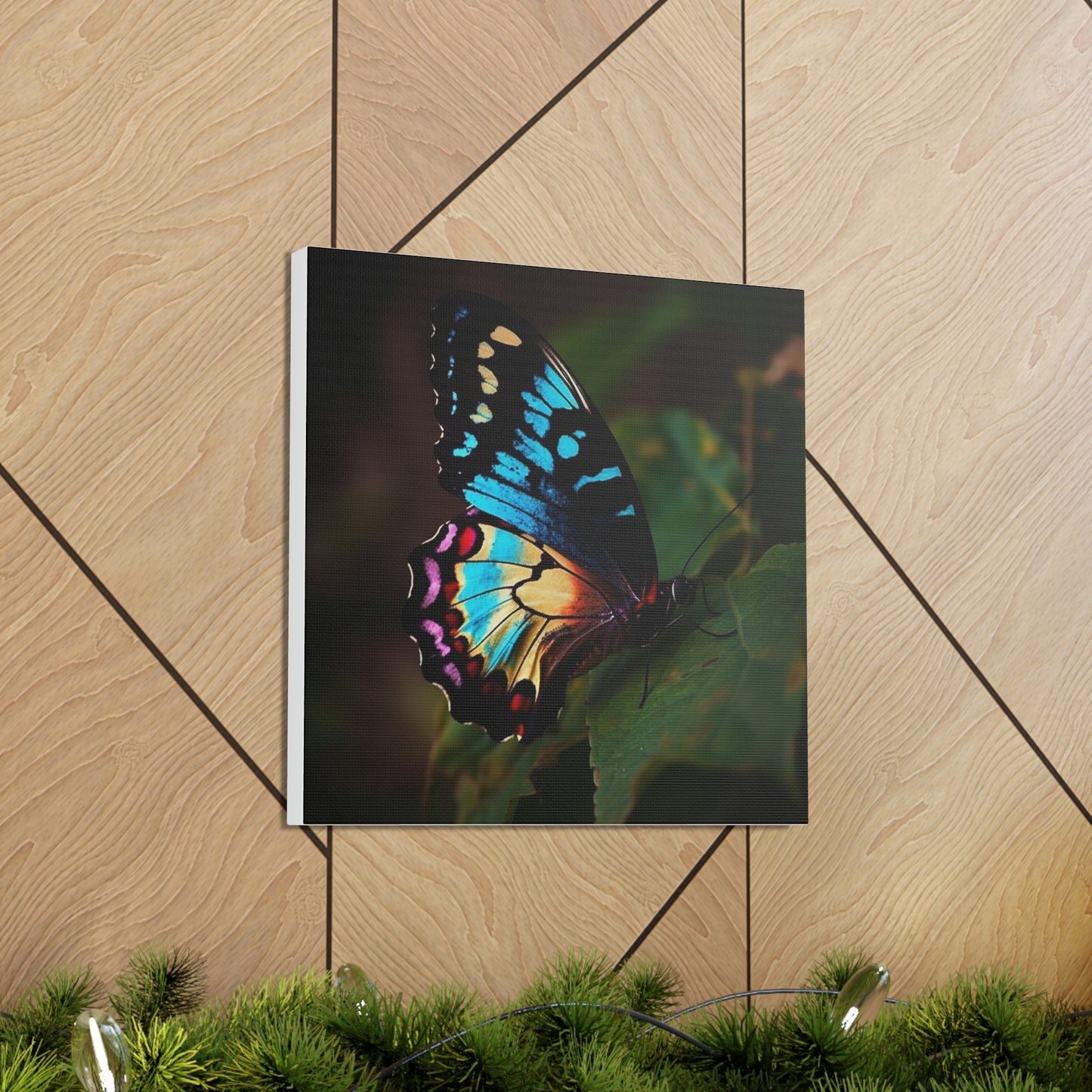 butterfly real look close