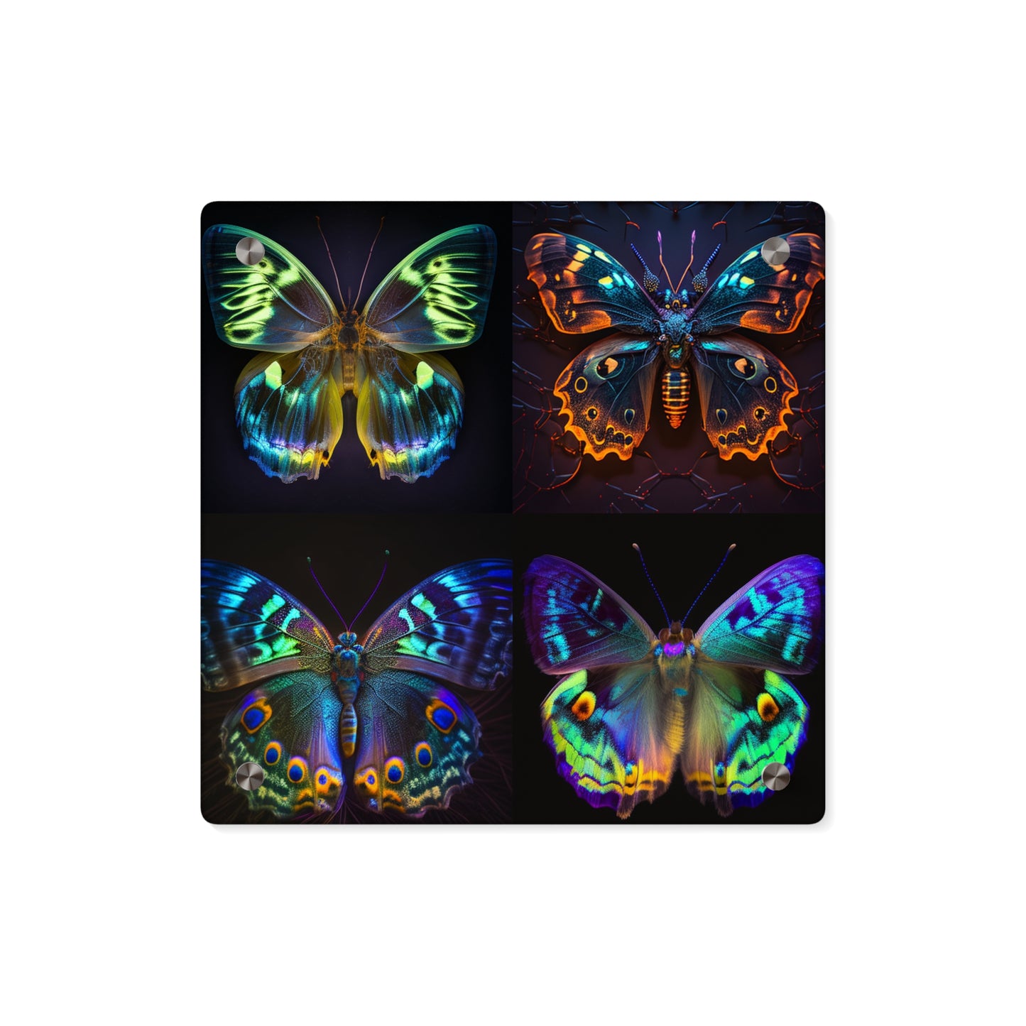 Acrylic Wall Art Panels Neon Hue Butterfly 5