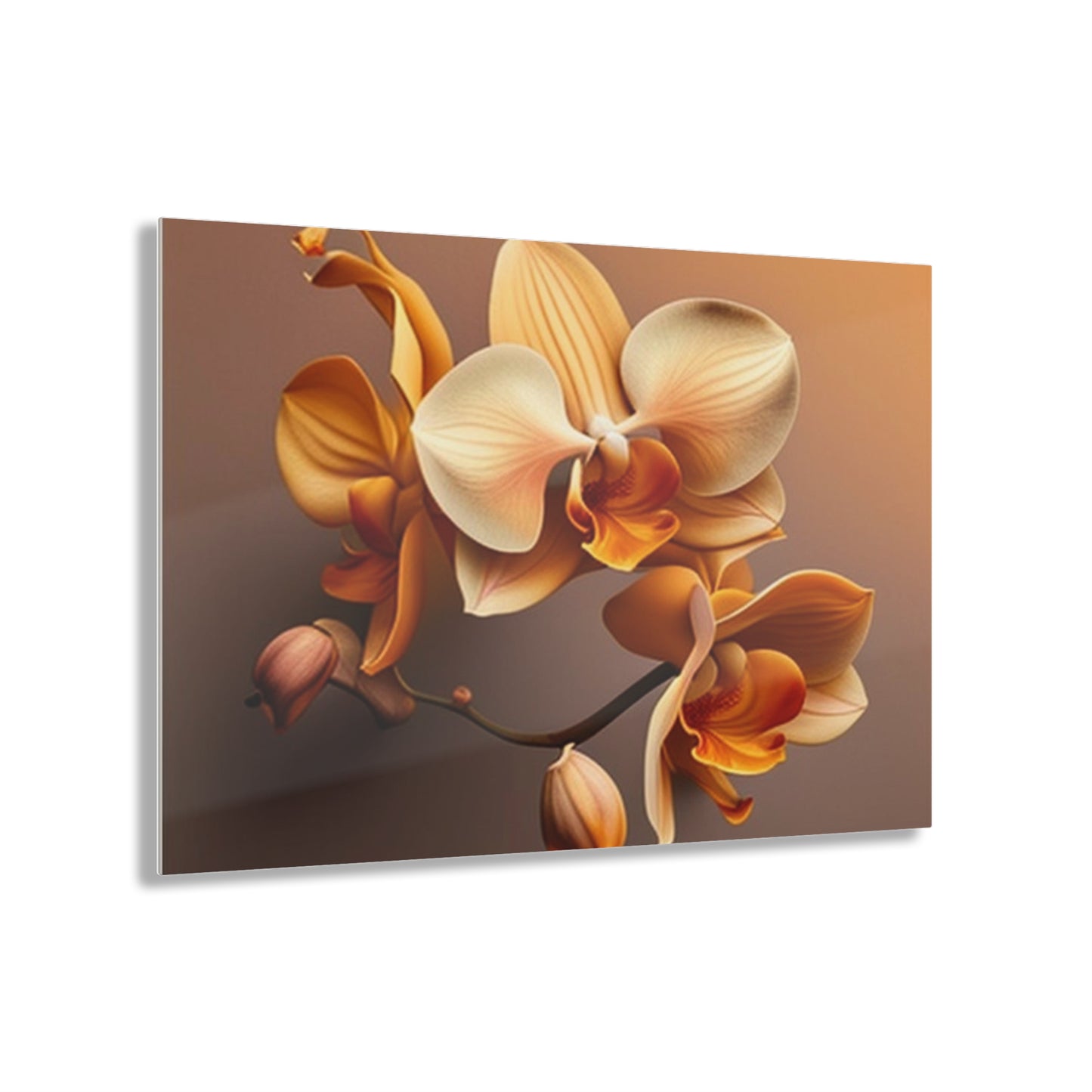 Acrylic Prints orchid pedals 2