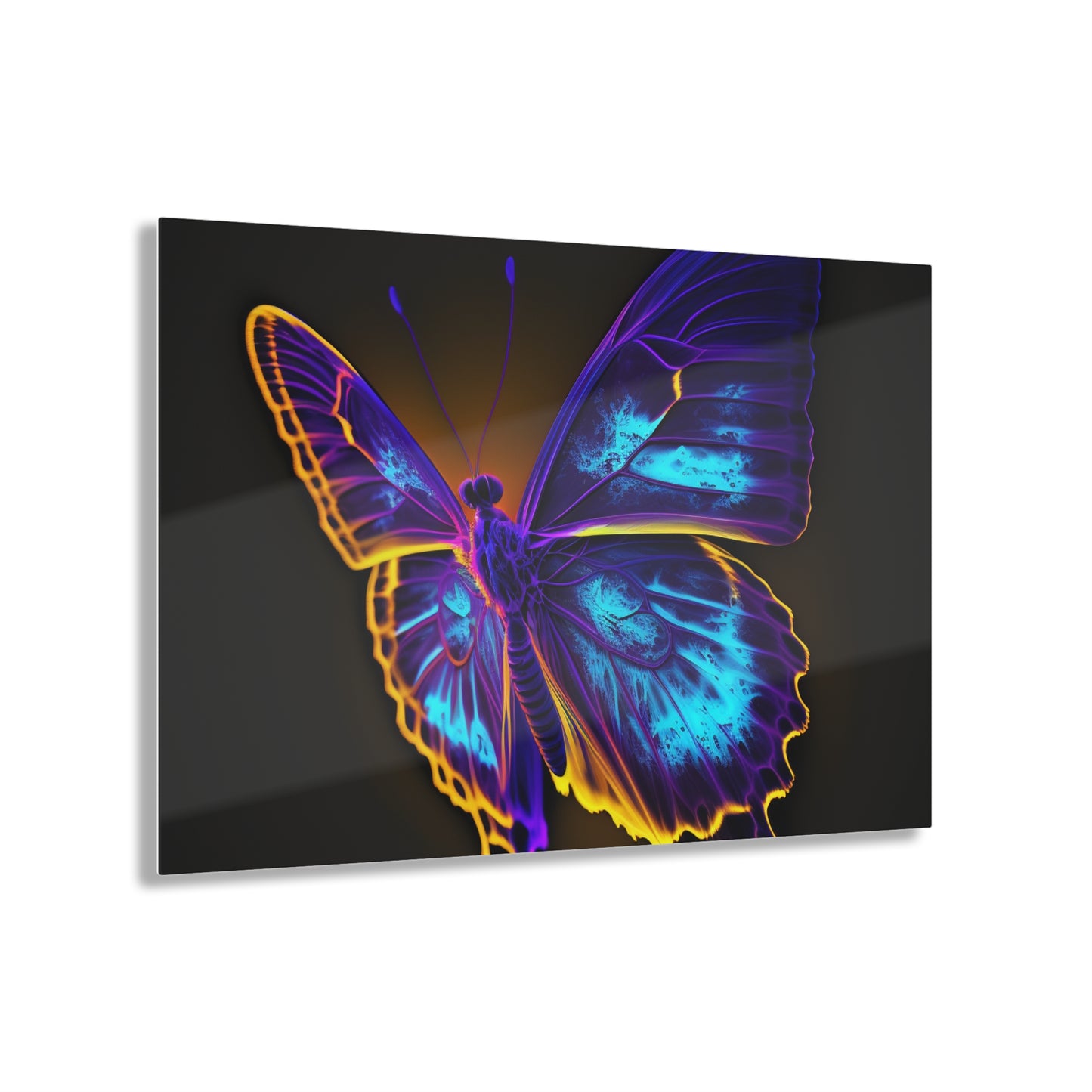 Acrylic Prints Thermal Butterfly 4