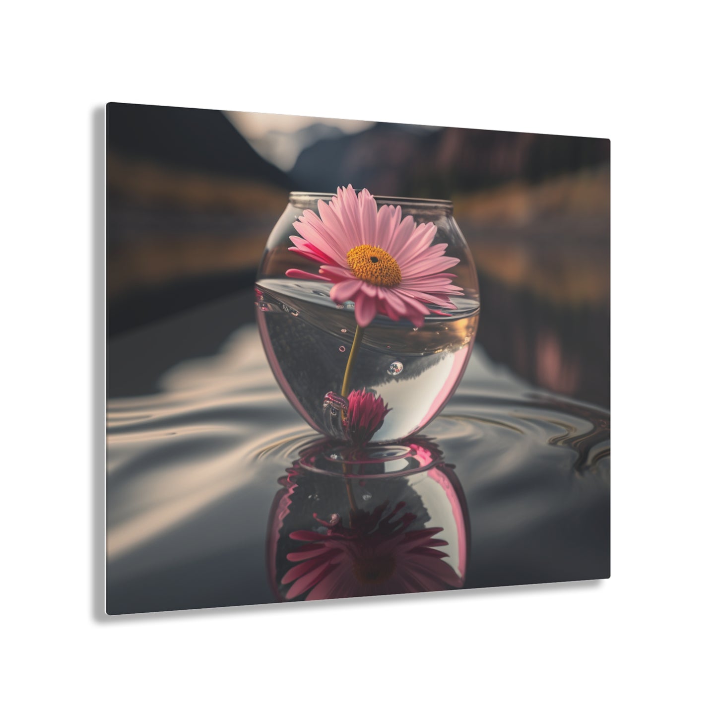 Acrylic Prints Daisy in a vase 2