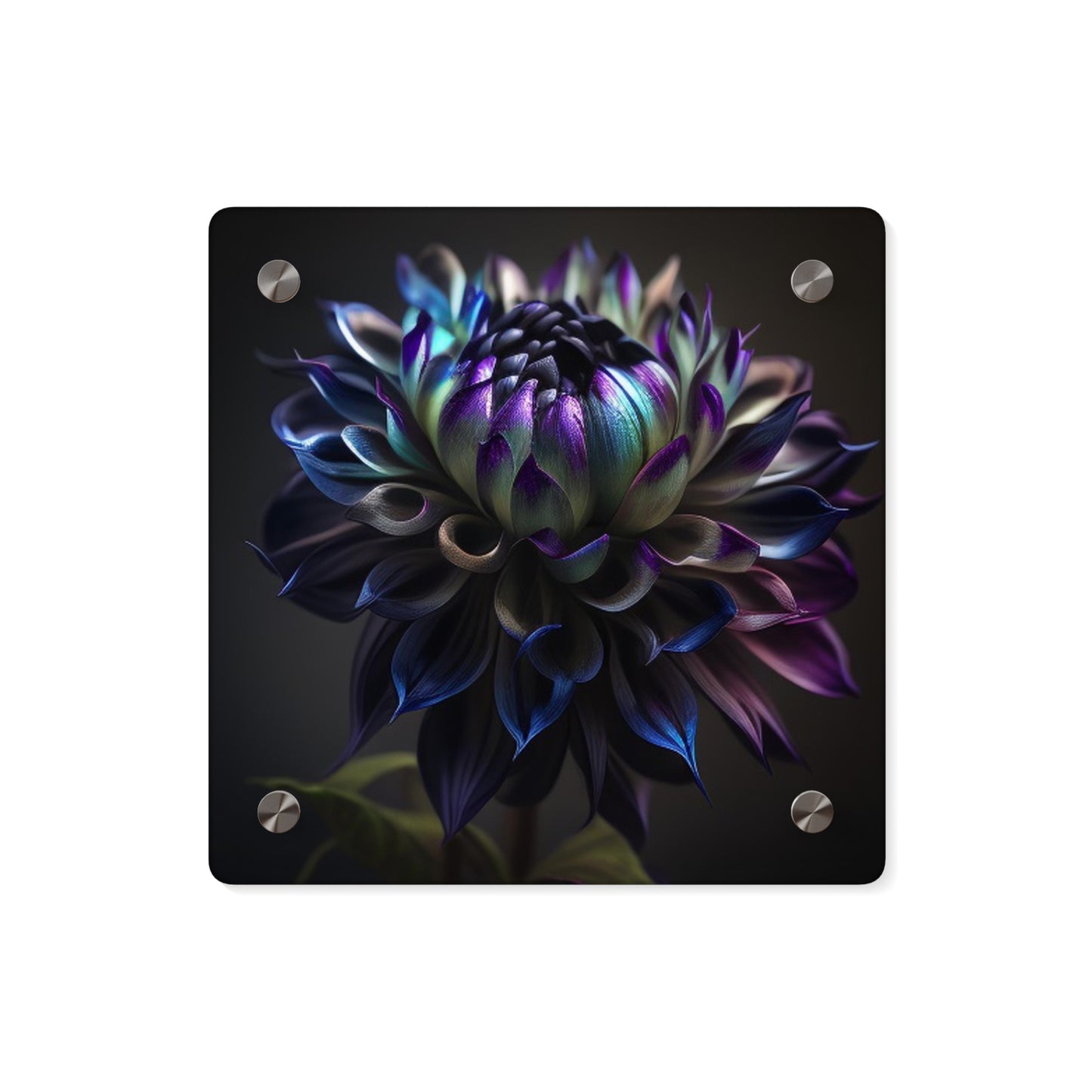 Acrylic Wall Art Panels Dahlia Purple 4