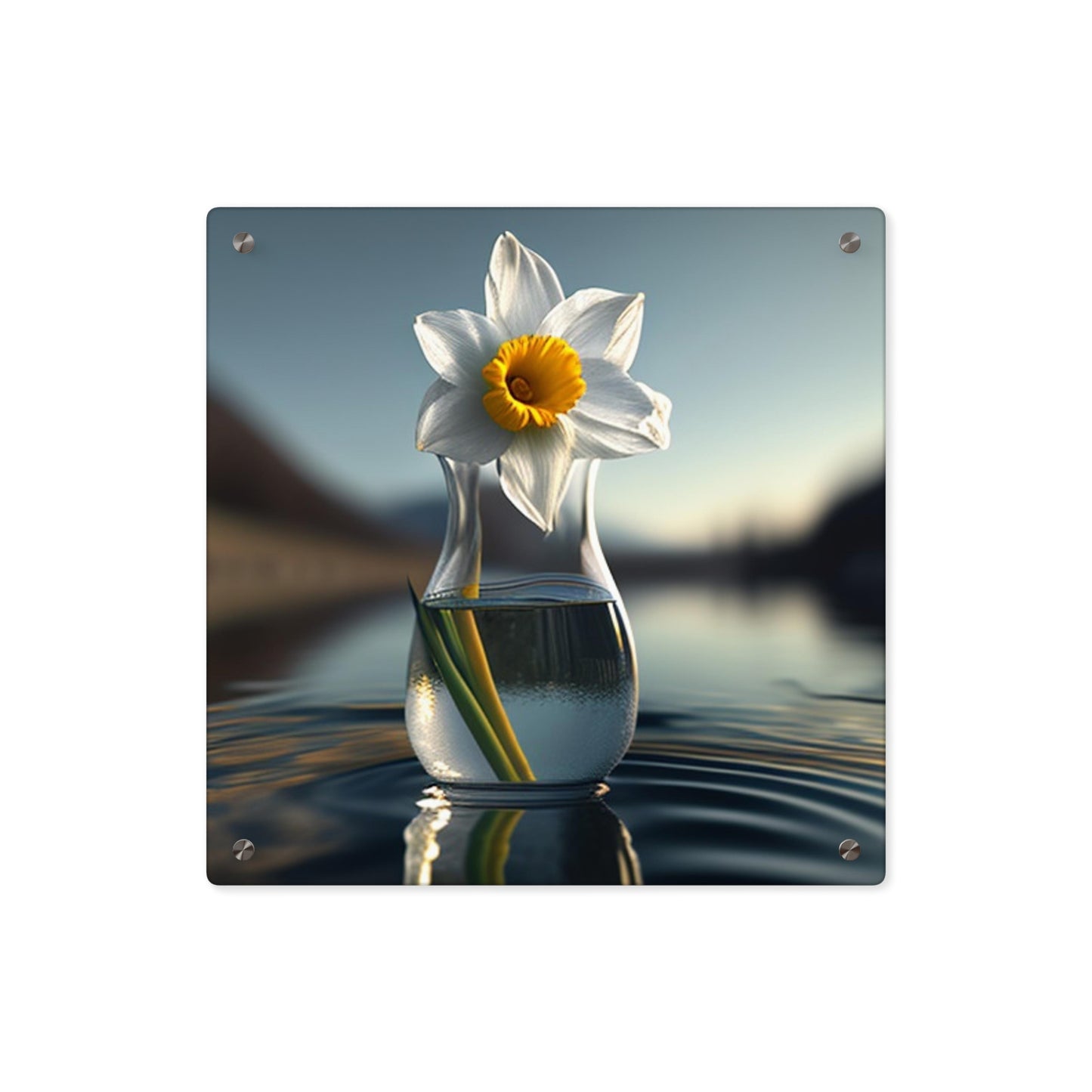 Acrylic Wall Art Panels Daffodil 3