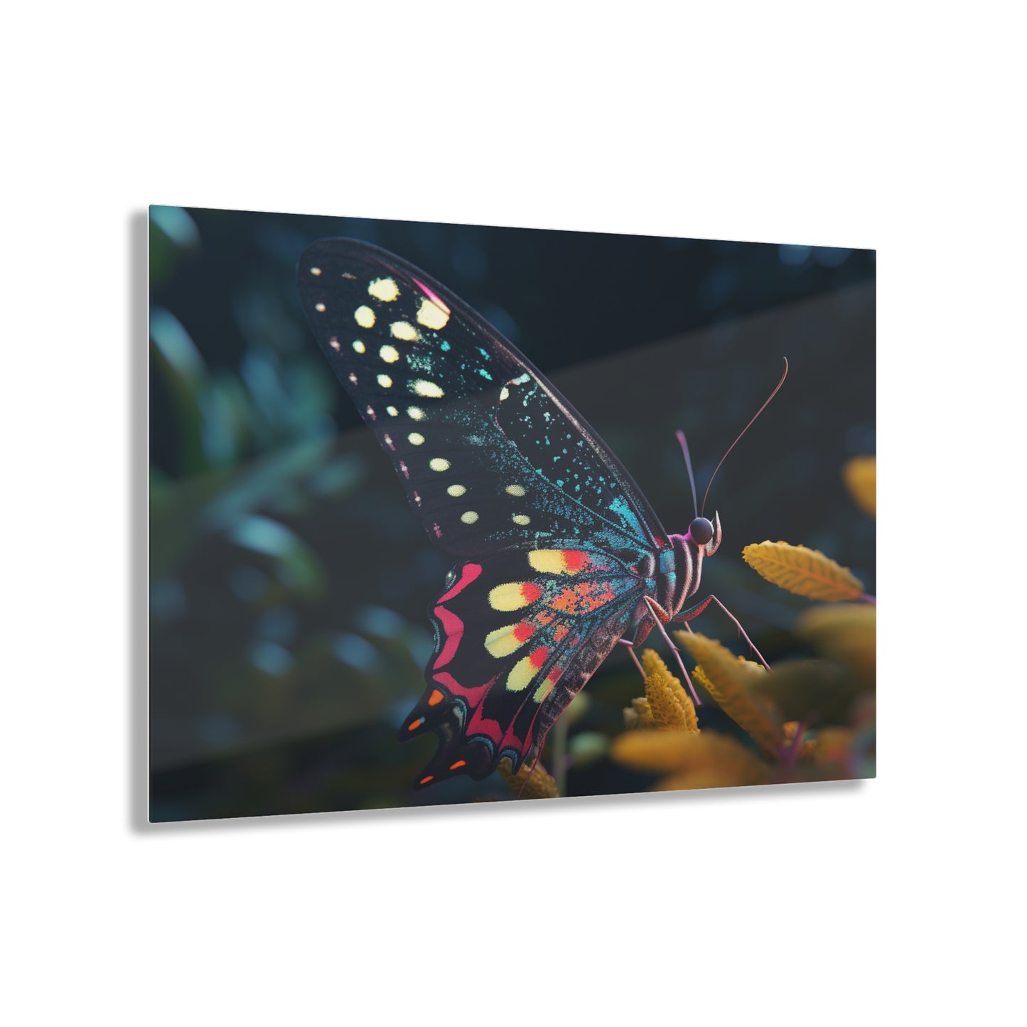 Acrylic Prints Hyper Colorful Butterfly Macro 2