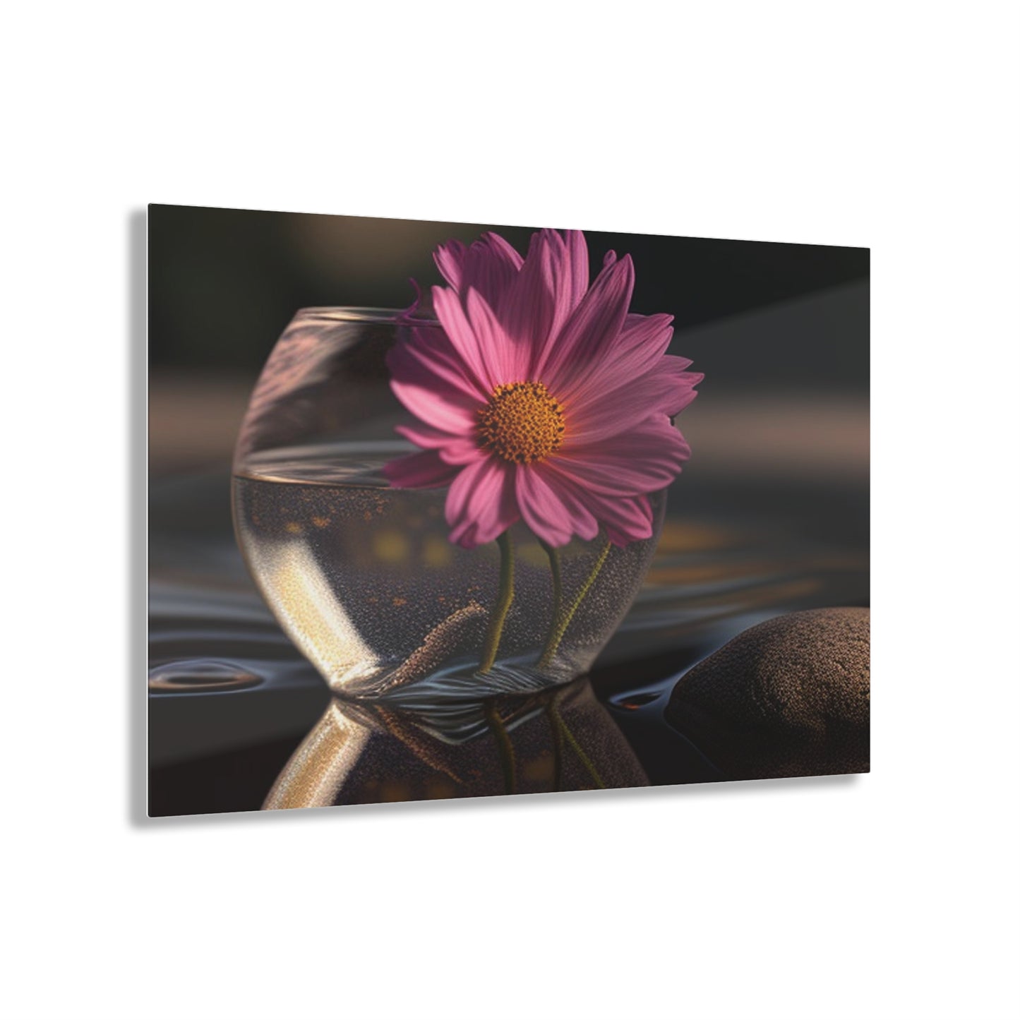 Acrylic Prints Pink Daisy 4