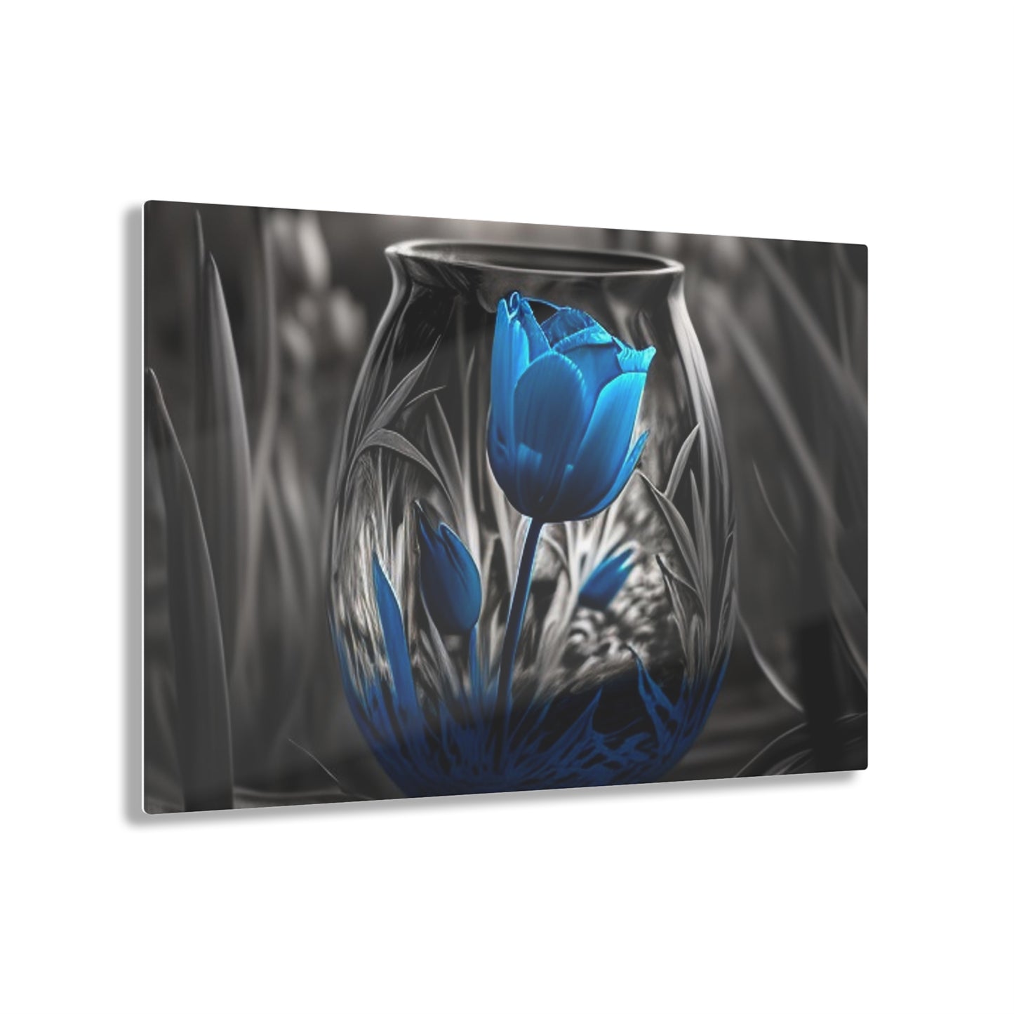 Acrylic Prints Tulip Blue 3