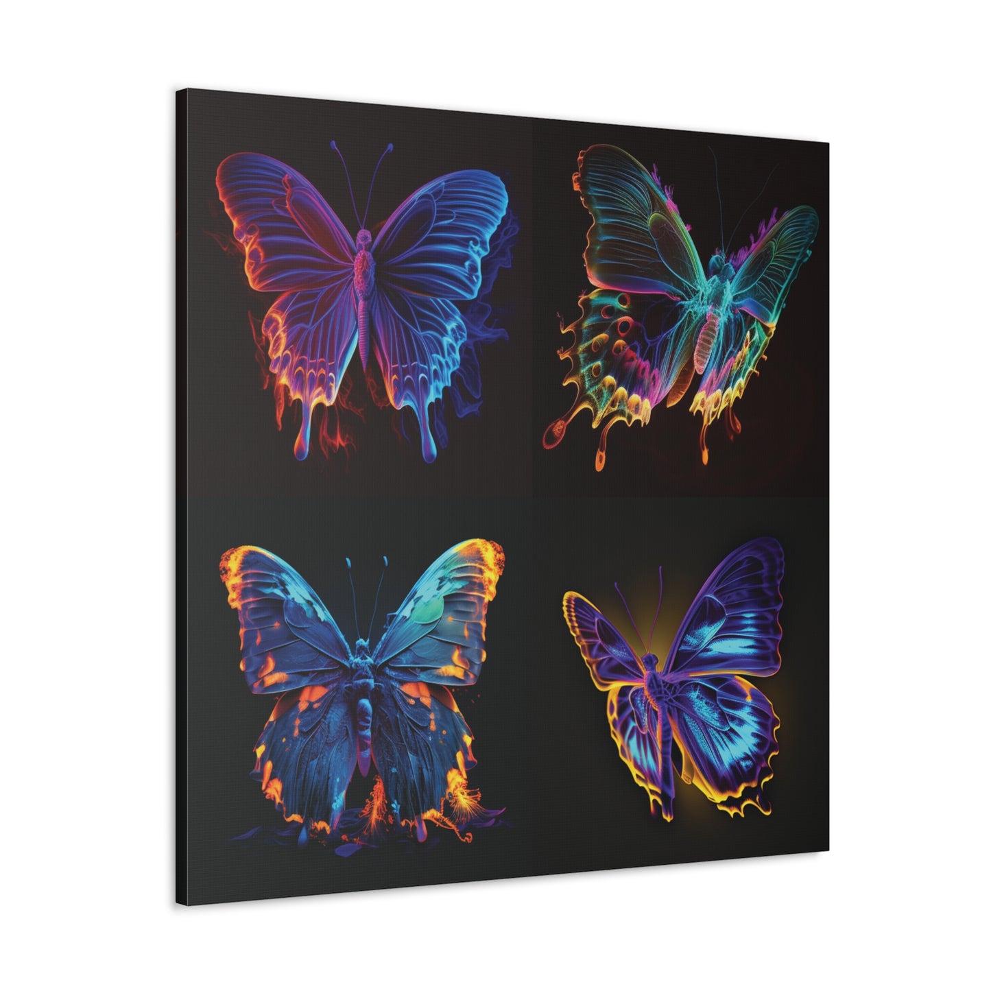 Canvas Gallery Wraps Thermal Butterfly 5