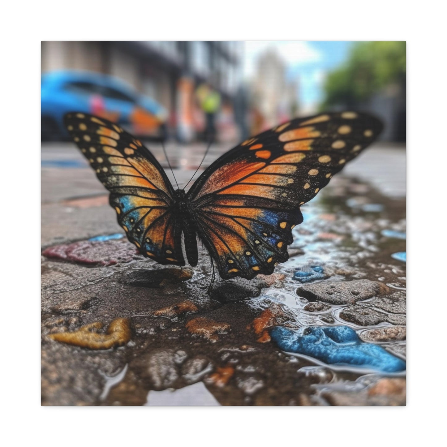 Canvas Gallery Wraps Water Butterfly Street 4