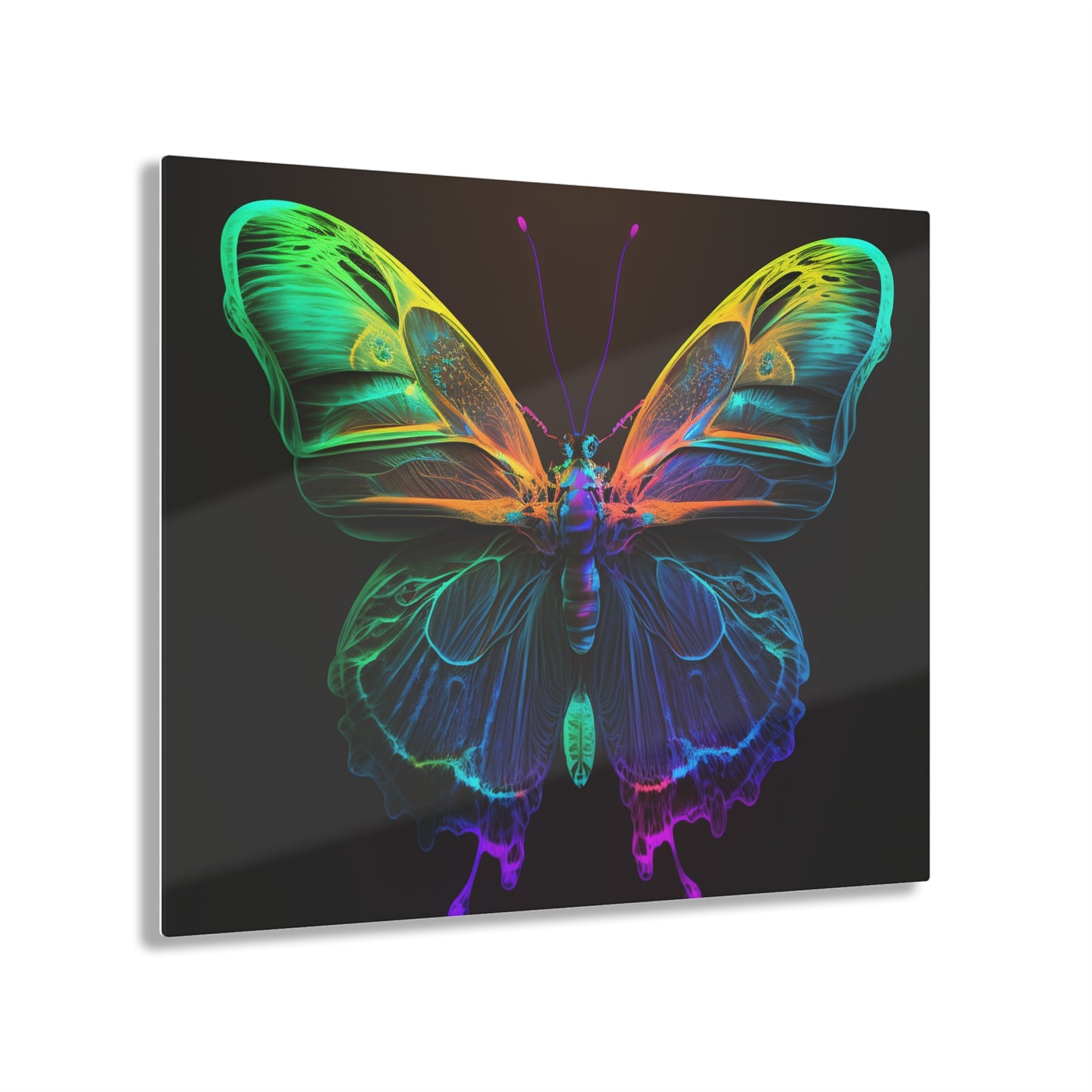 Acrylic Prints Raw Hyper Color Butterfly 3