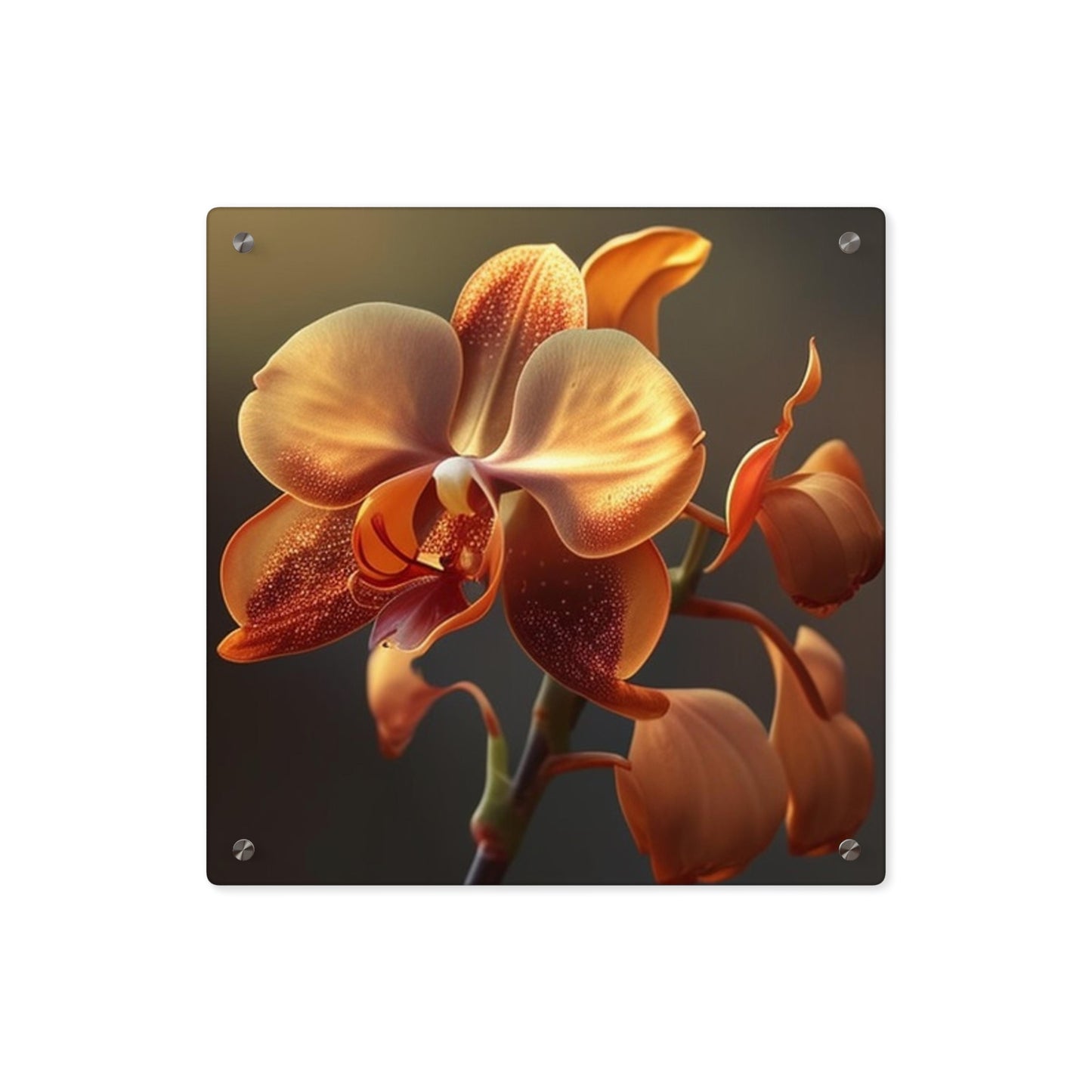 Acrylic Wall Art Panels Orange Orchid 1