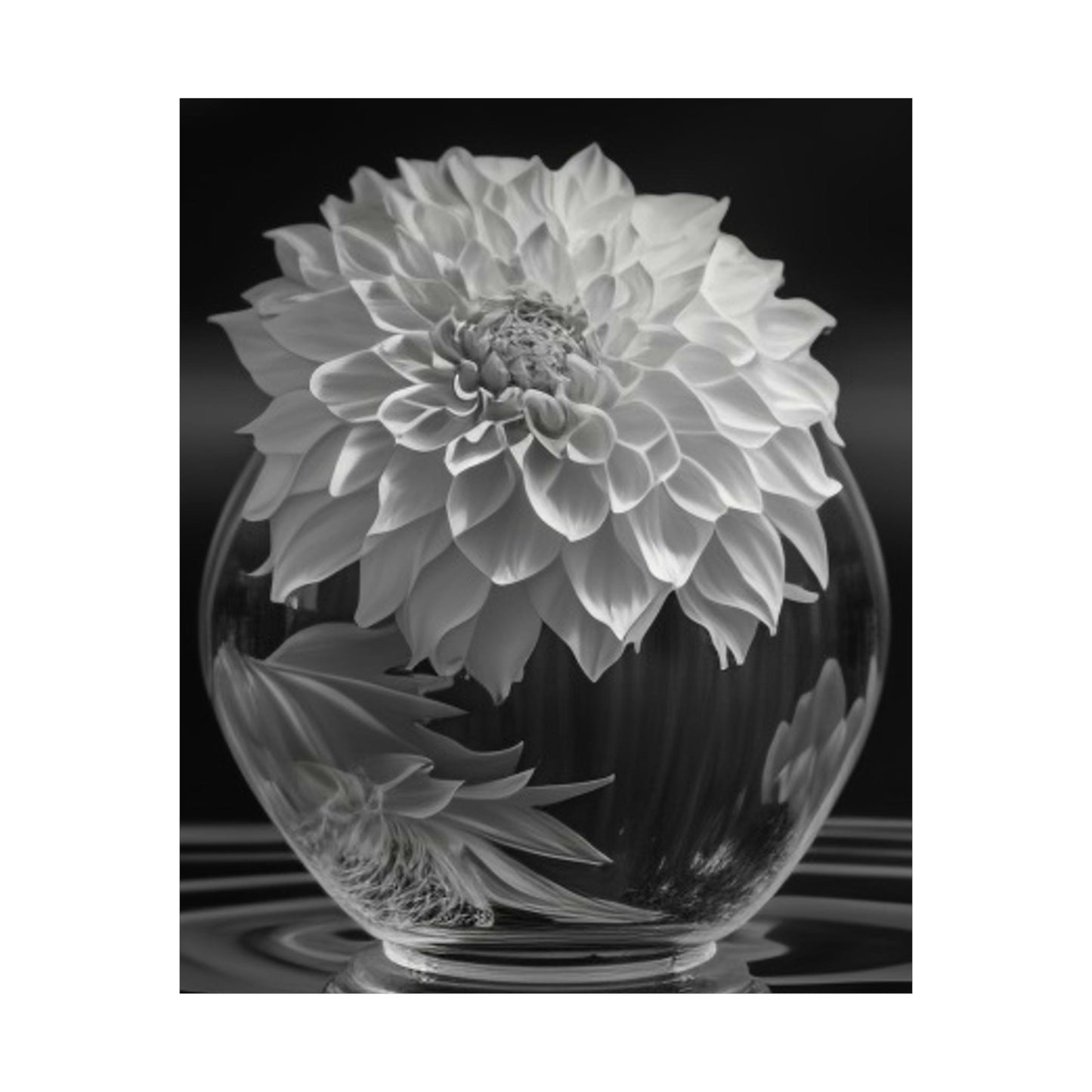 Premium Matte Vertical Posters White Dahlia 1