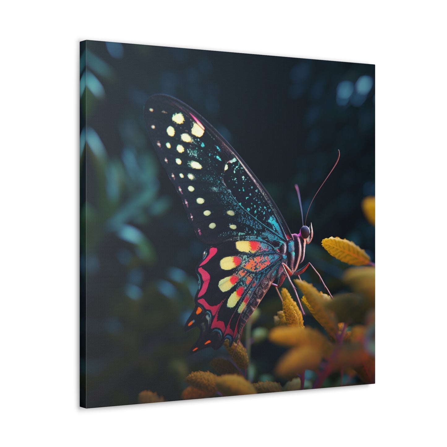 Canvas Gallery Wraps Hyper Colorful Butterfly Macro 2