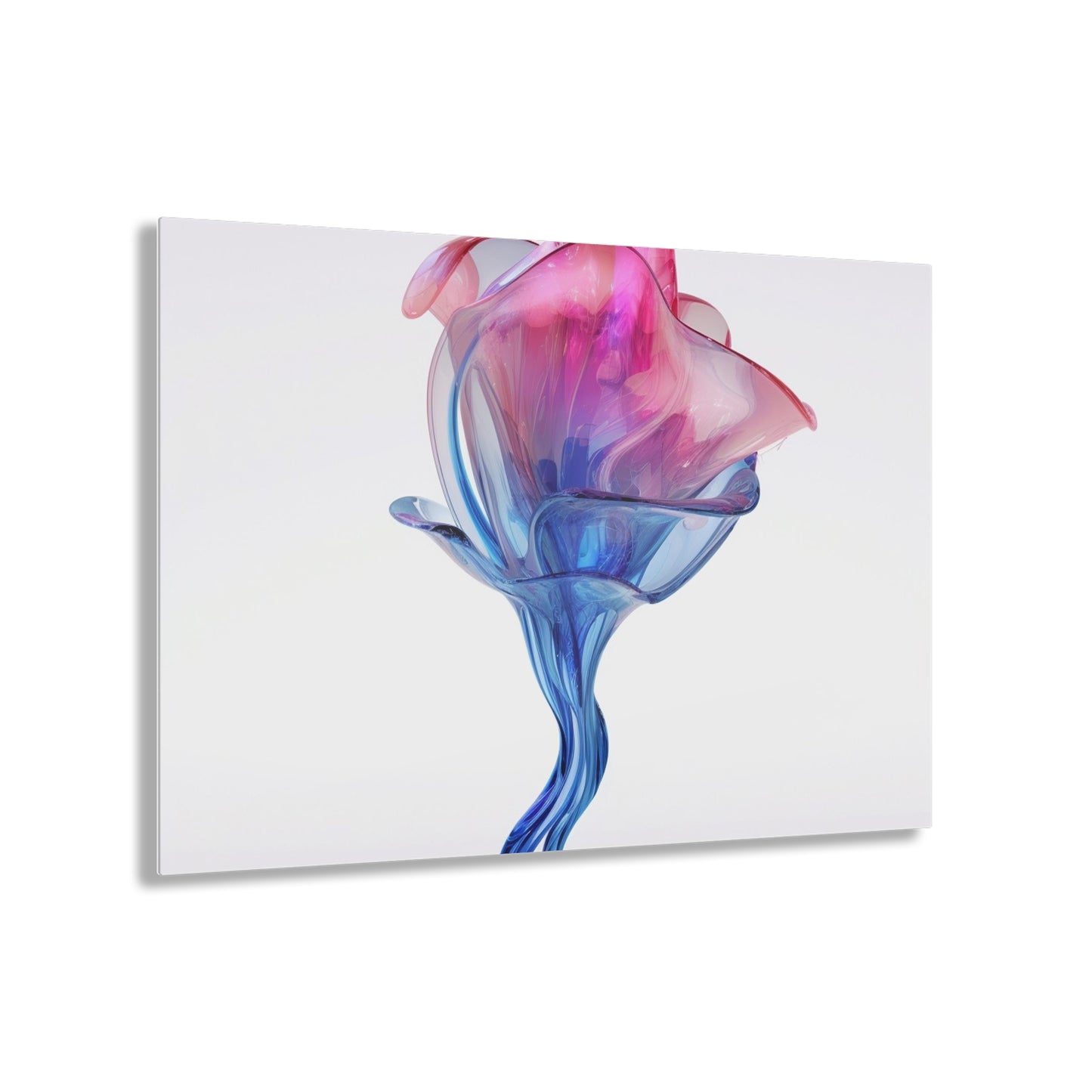 Acrylic Prints Pink & Blue Tulip Rose 4