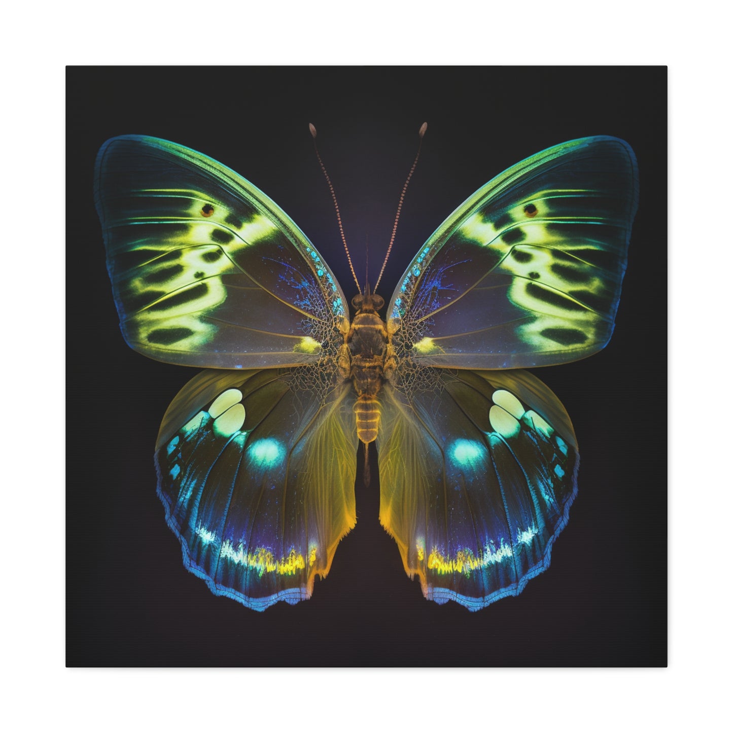 Canvas Gallery Wraps Neon Hue Butterfly 1
