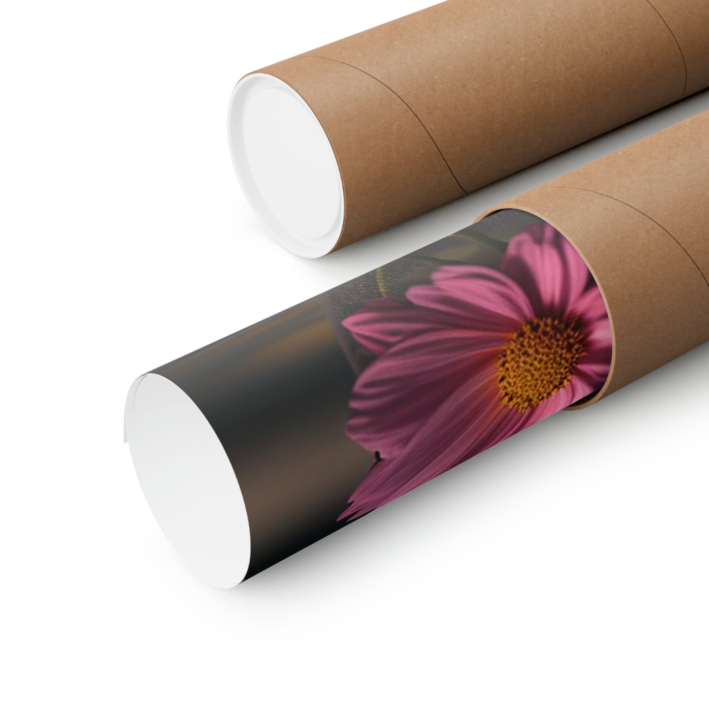 Premium Matte Vertical Posters Pink Daisy 4