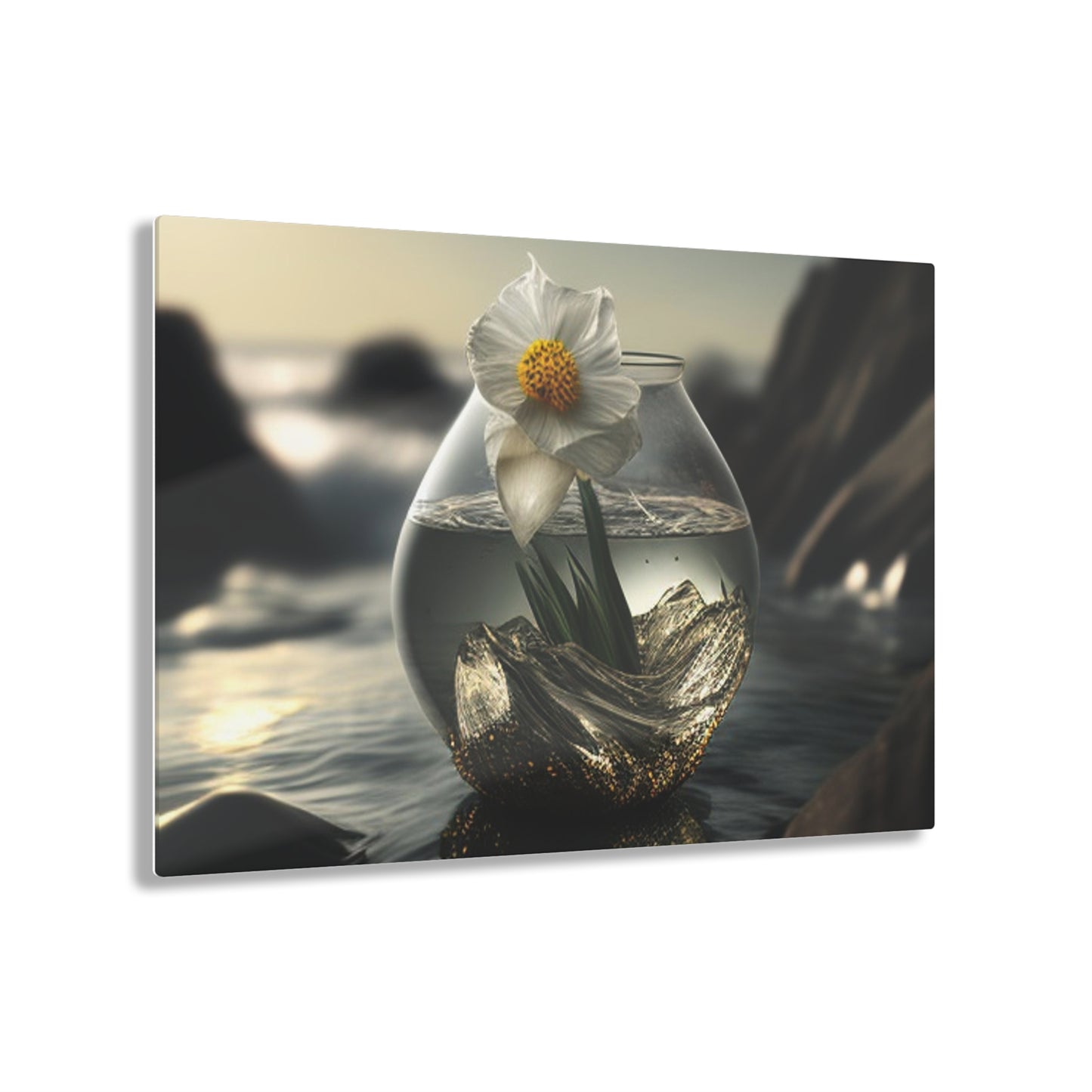 Acrylic Prints Daffodil 1