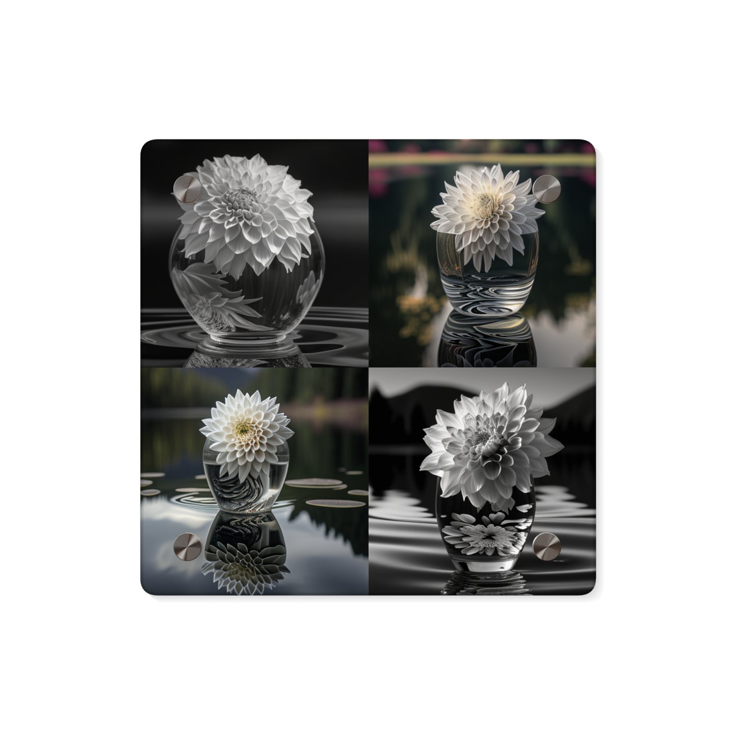 Acrylic Wall Art Panels White Dahlia 5