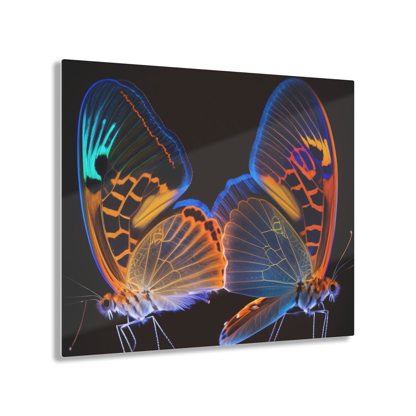 Acrylic Prints Neon Glo Butterfly 2