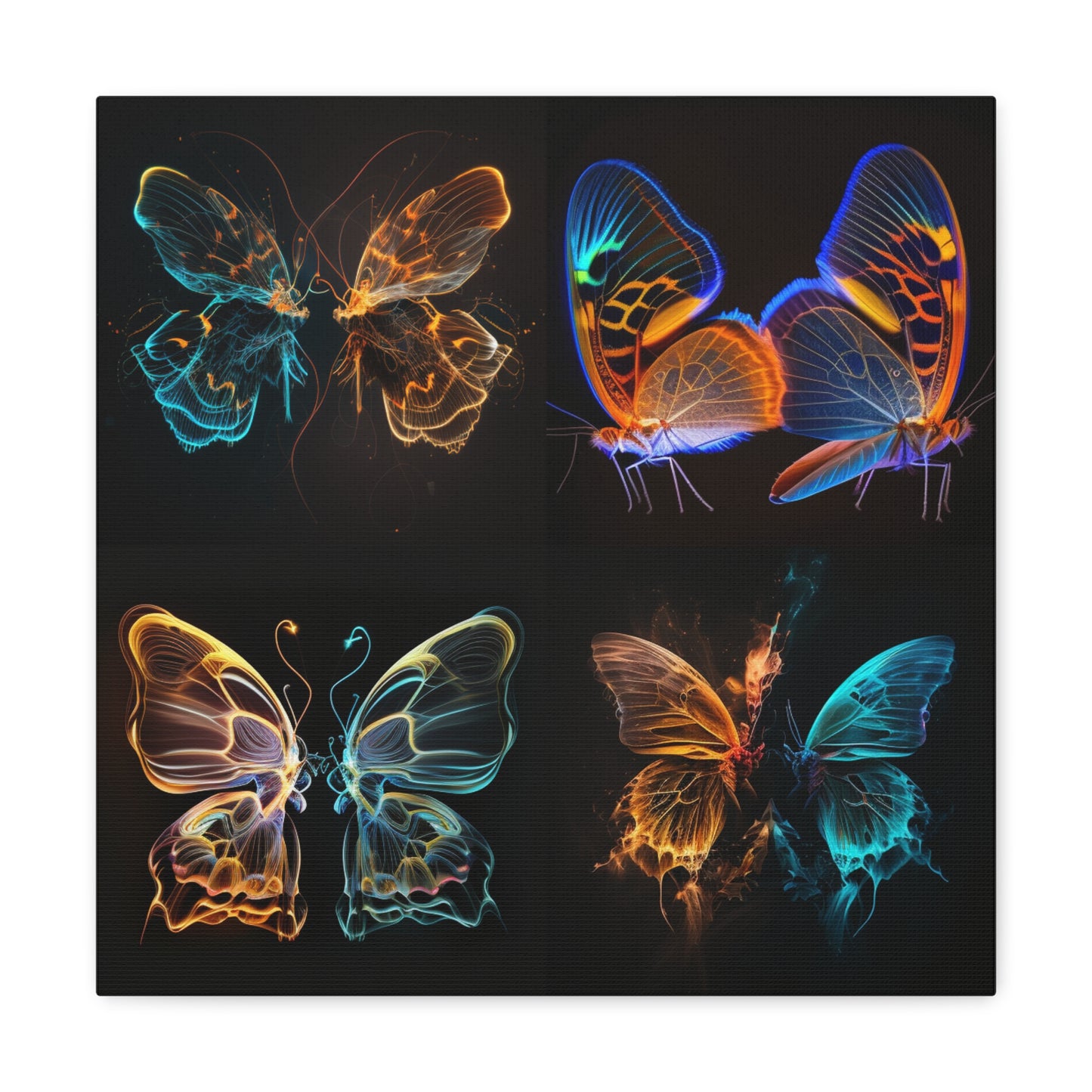 Canvas Gallery Wraps Neon Glo Butterfly 5