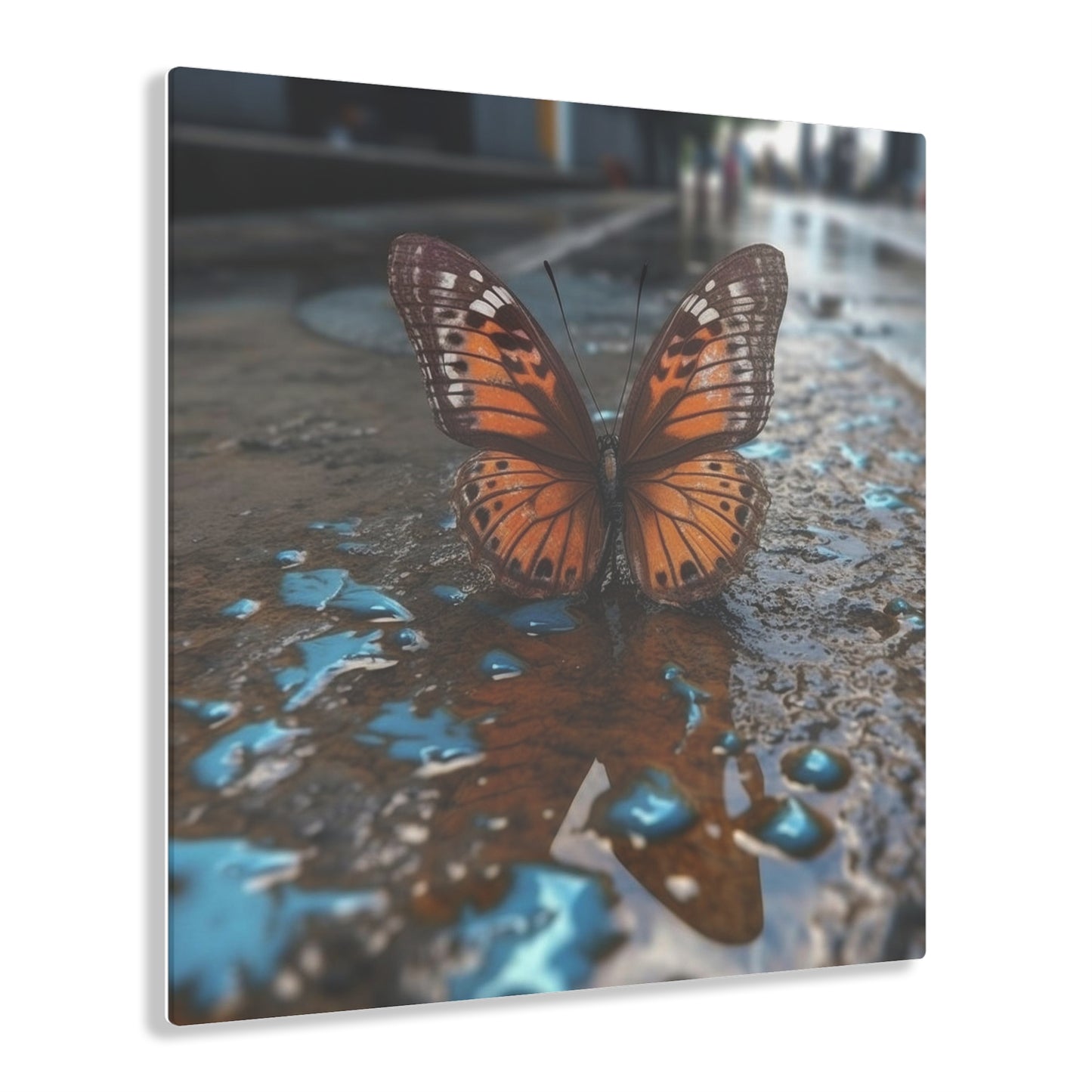 Acrylic Prints Water Butterfly Street 2