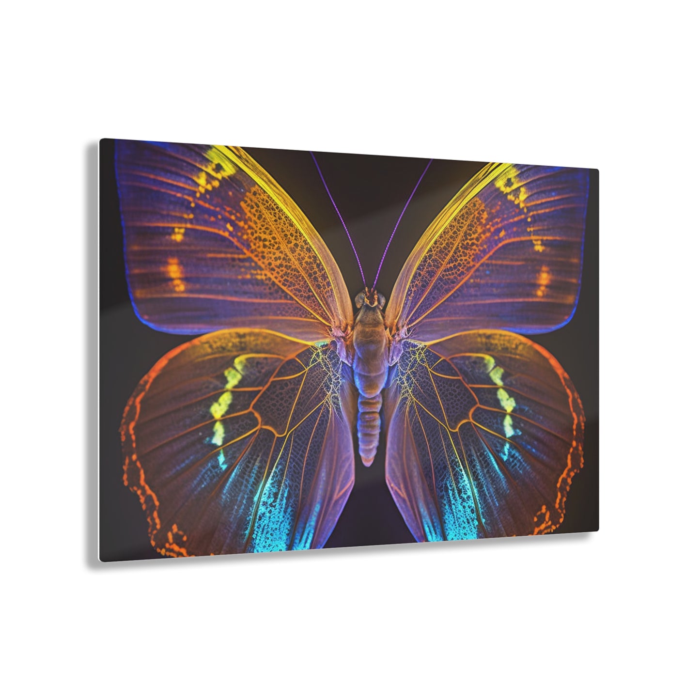 Acrylic Prints Neon Butterfly Flair 2