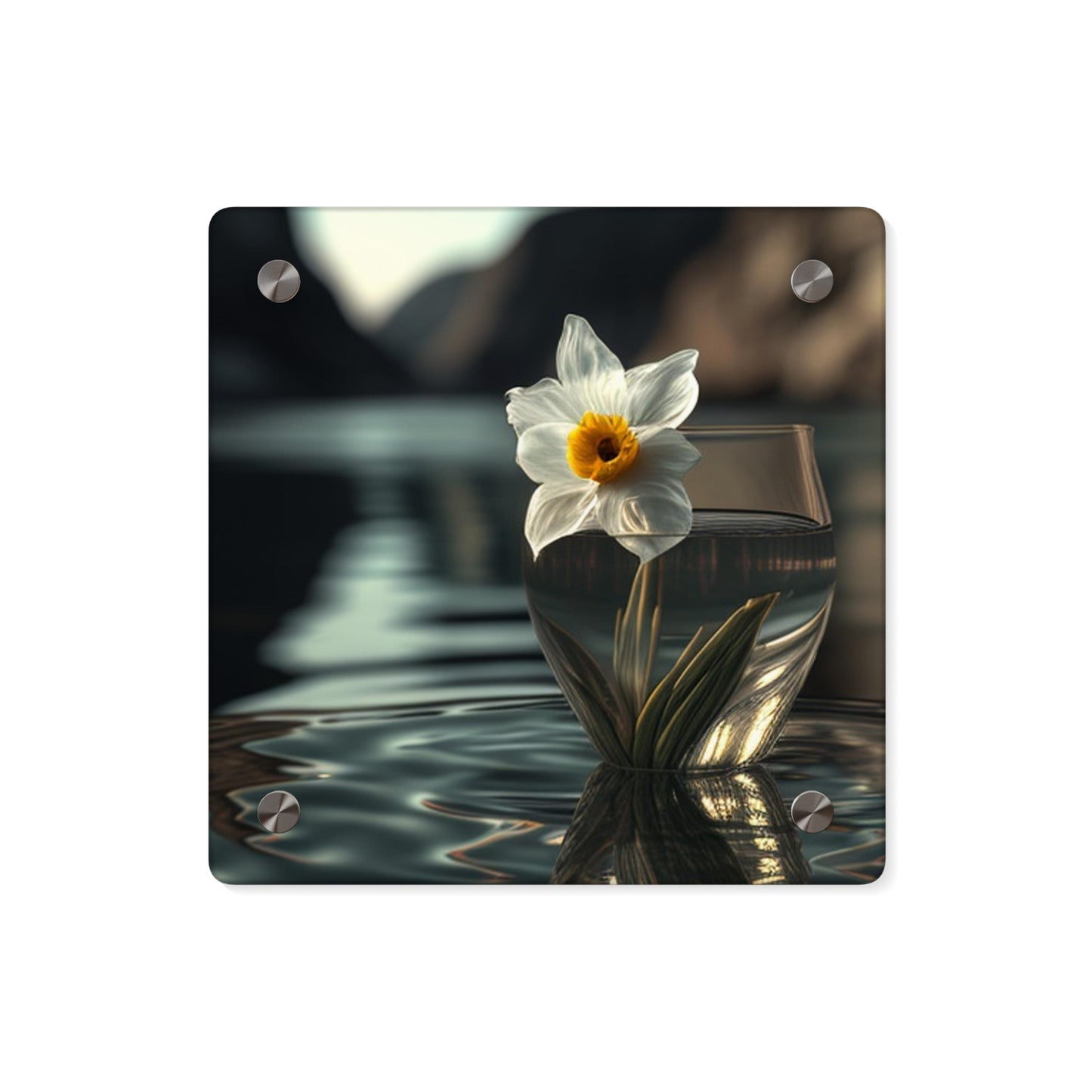 Acrylic Wall Art Panels Daffodil 2