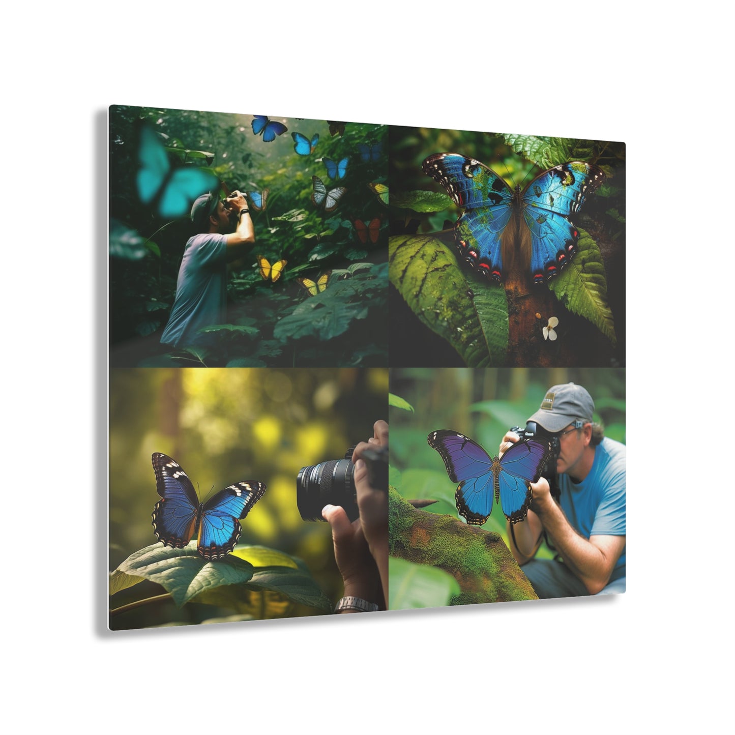 Acrylic Prints Jungle Butterfly 5