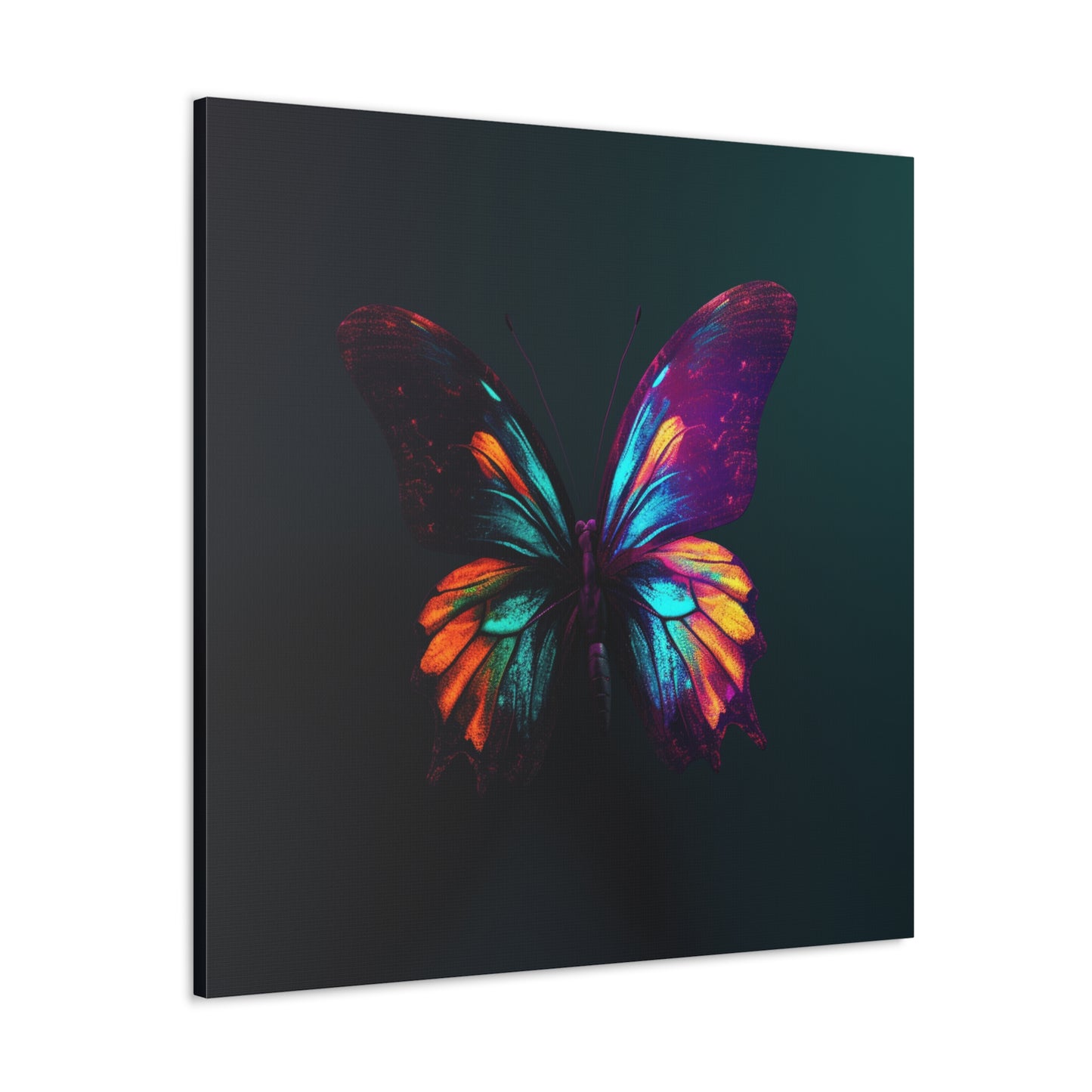 Canvas Gallery Wraps Hyper Colorful Butterfly Macro 4