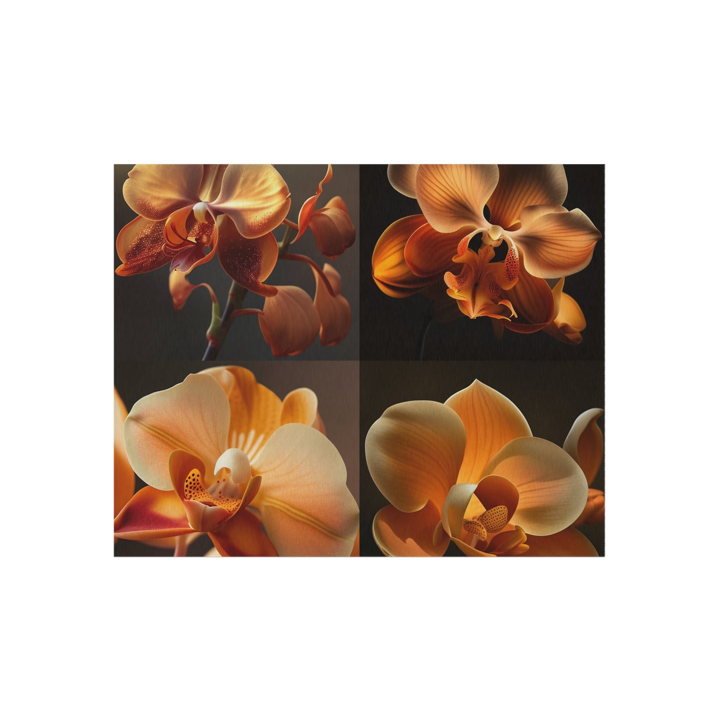 Outdoor Rug  Orange Orchid 5