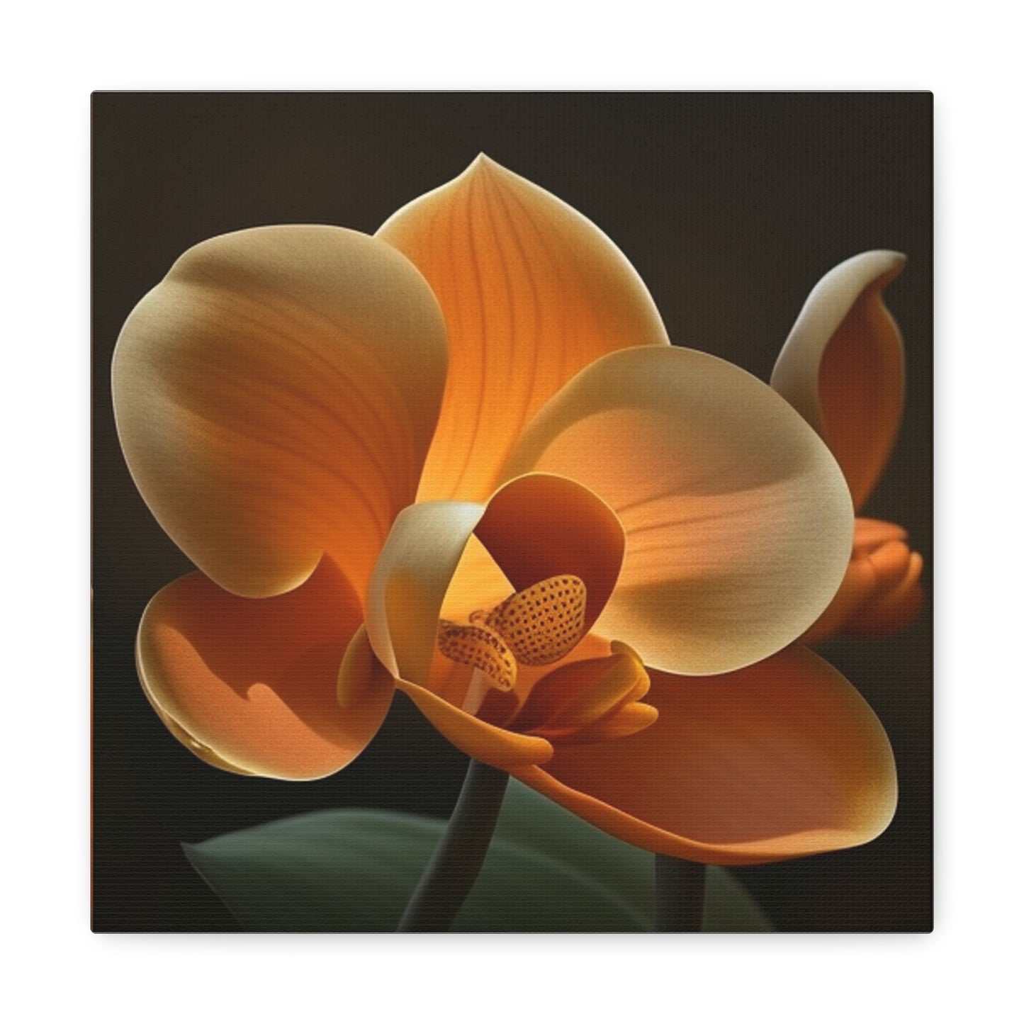 Canvas Gallery Wraps Orange Orchid 4