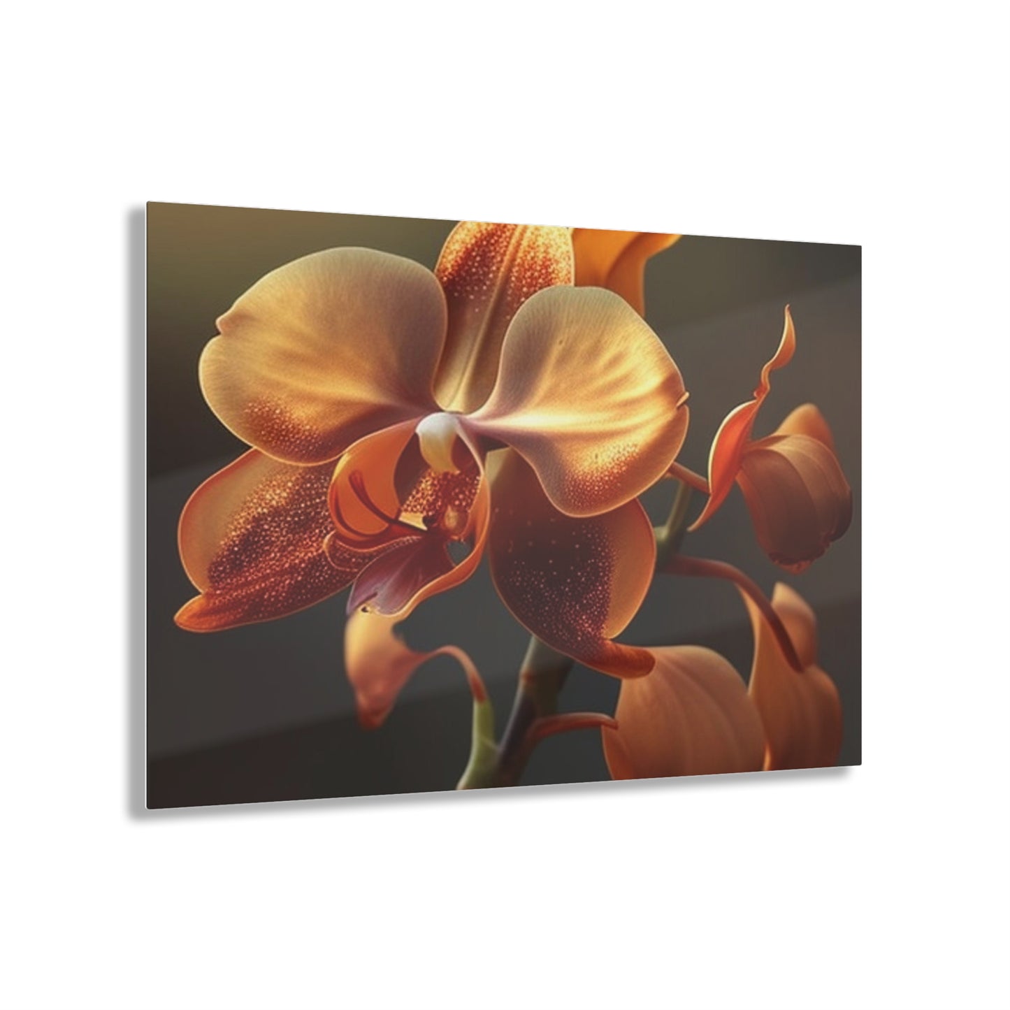 Acrylic Prints Orange Orchid 1