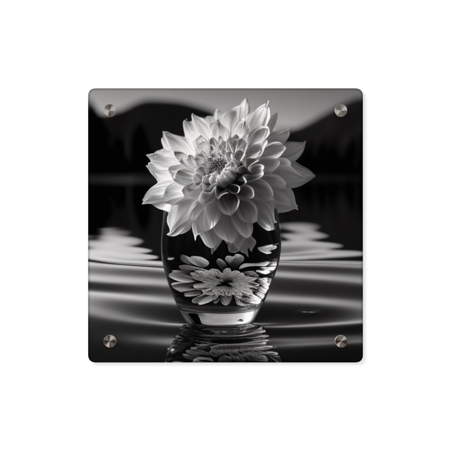 Acrylic Wall Art Panels White Dahlia 4