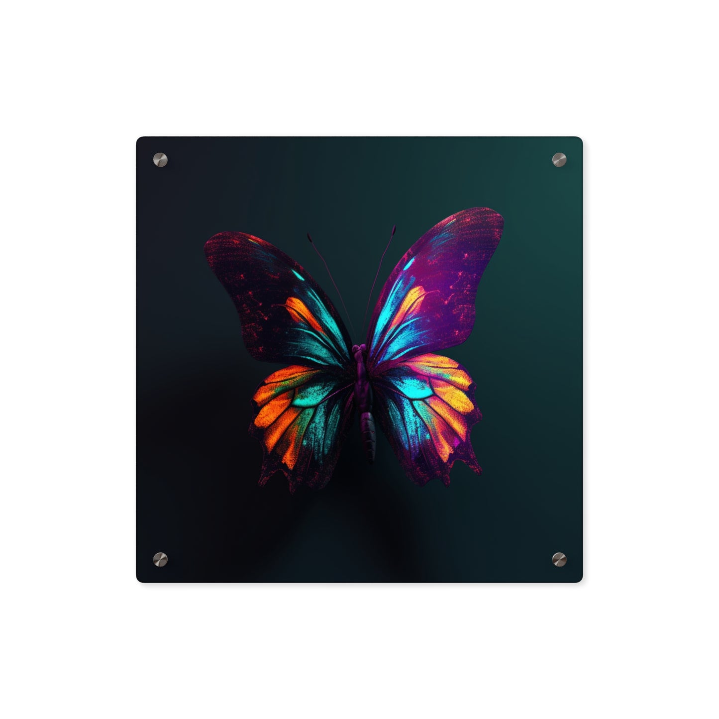 Acrylic Wall Art Panels Hyper Colorful Butterfly Macro 4