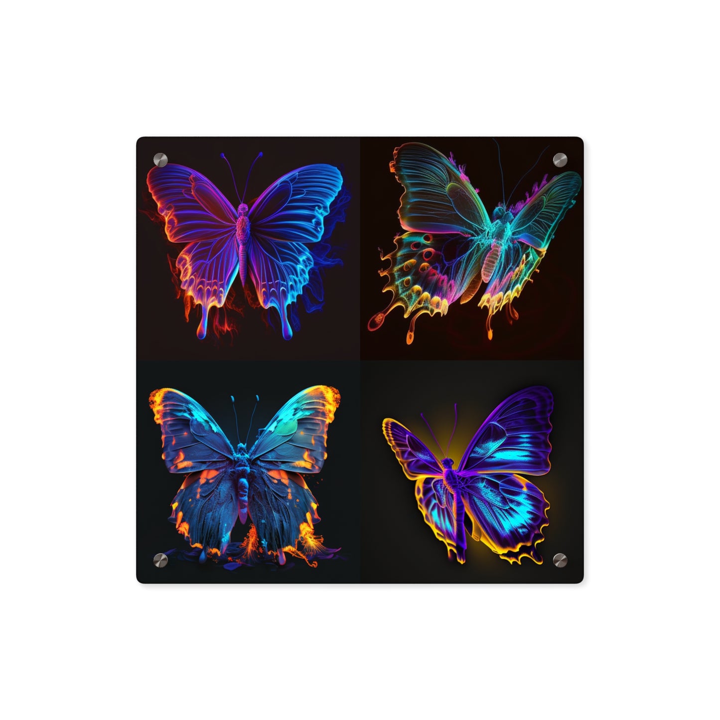 Acrylic Wall Art Panels Thermal Butterfly 5