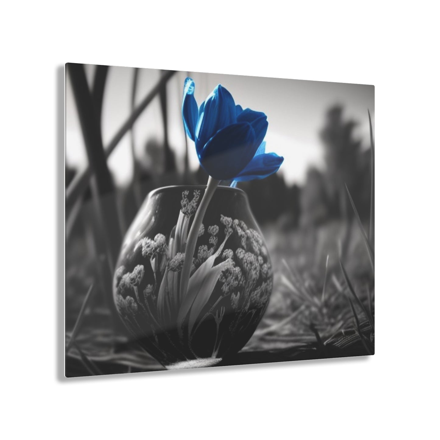 Acrylic Prints Tulip 3