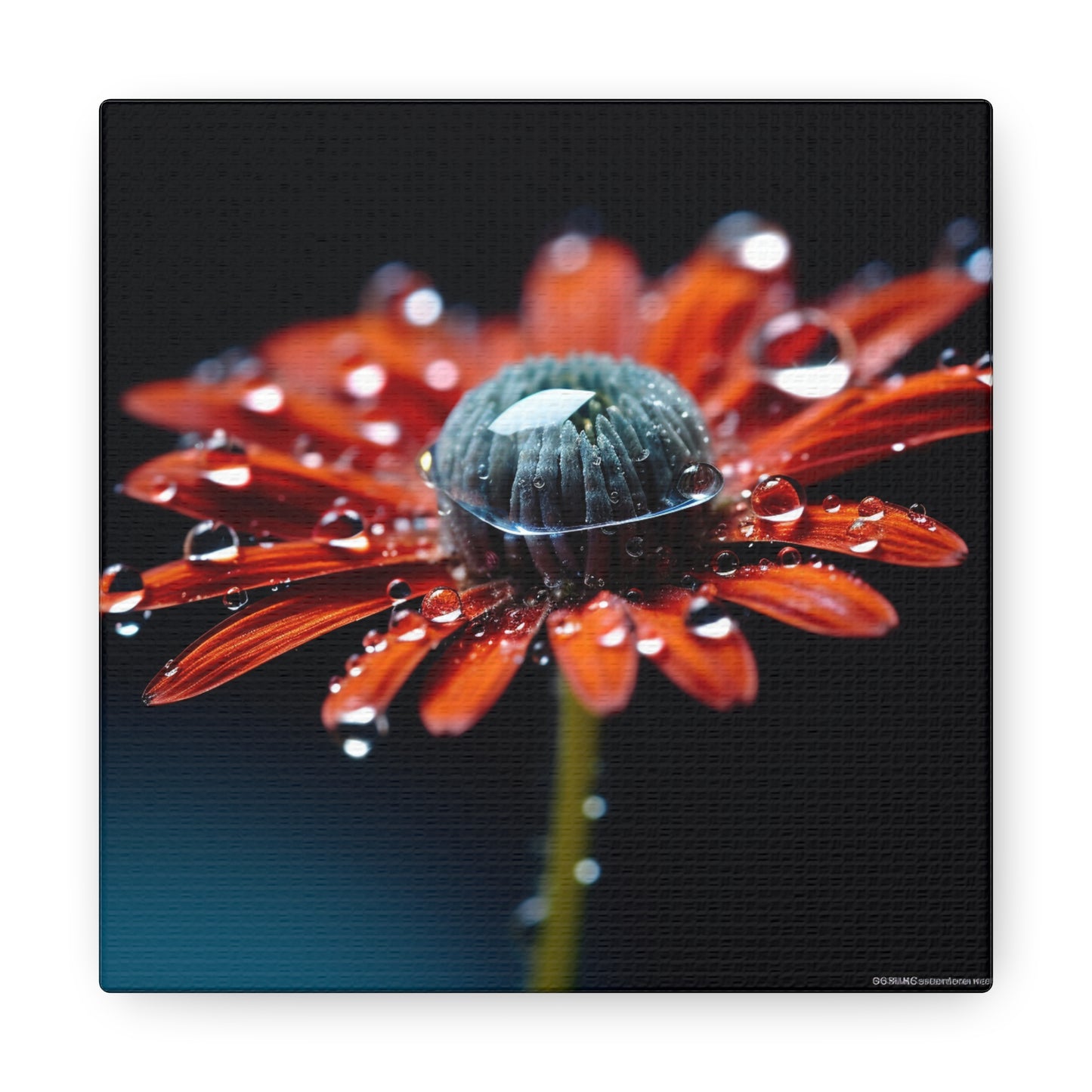 Canvas Gallery Wraps Water drop Macro Flower 1