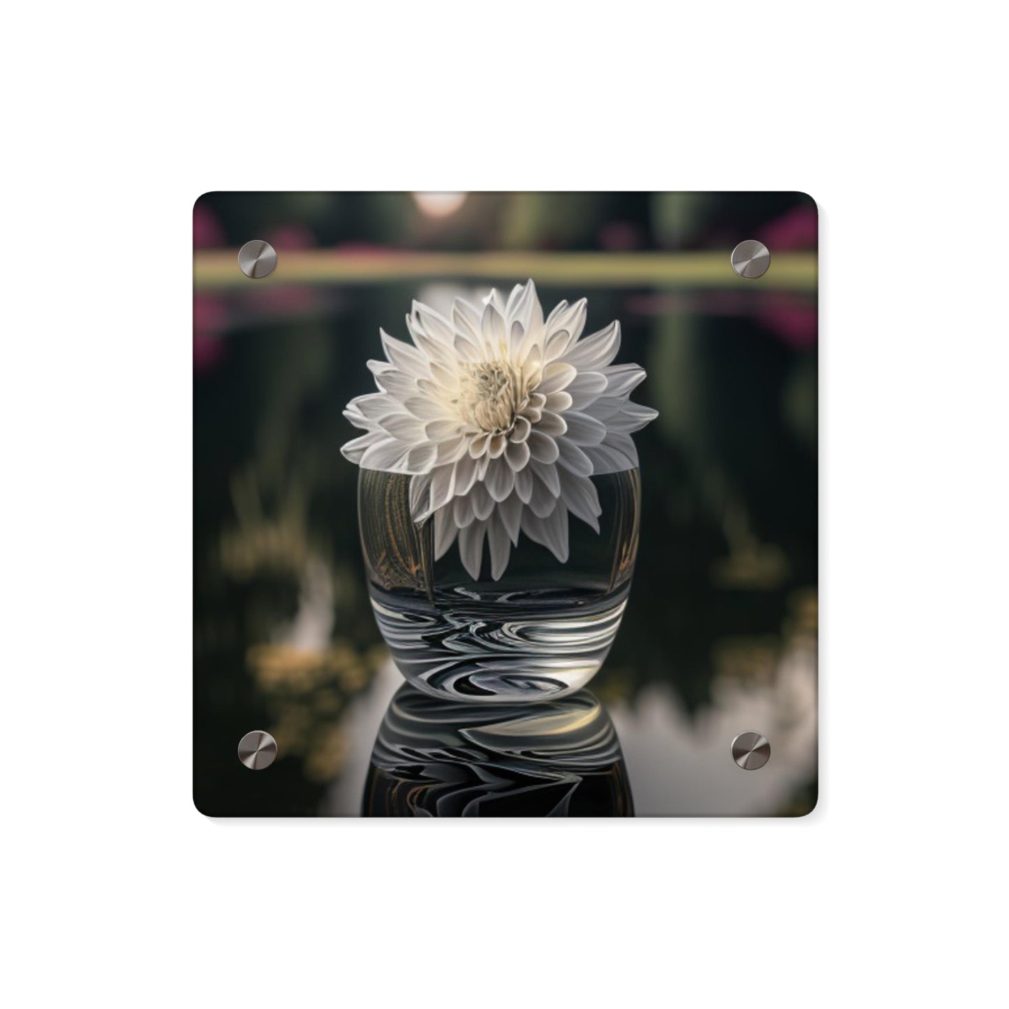 Acrylic Wall Art Panels White Dahlia 2