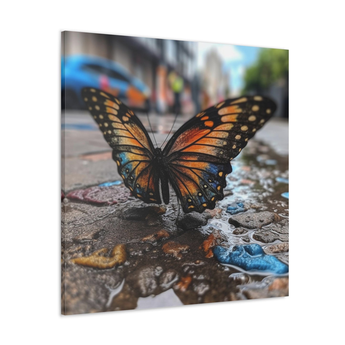 Canvas Gallery Wraps Water Butterfly Street 4