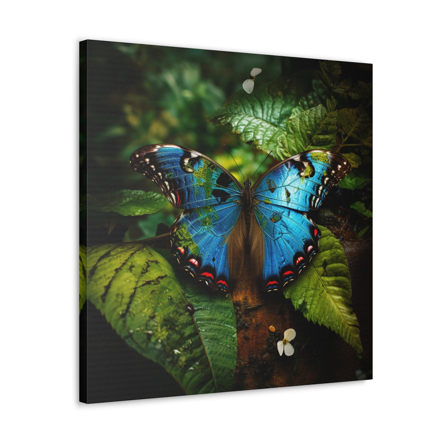 Canvas Gallery Wraps Jungle Butterfly 2