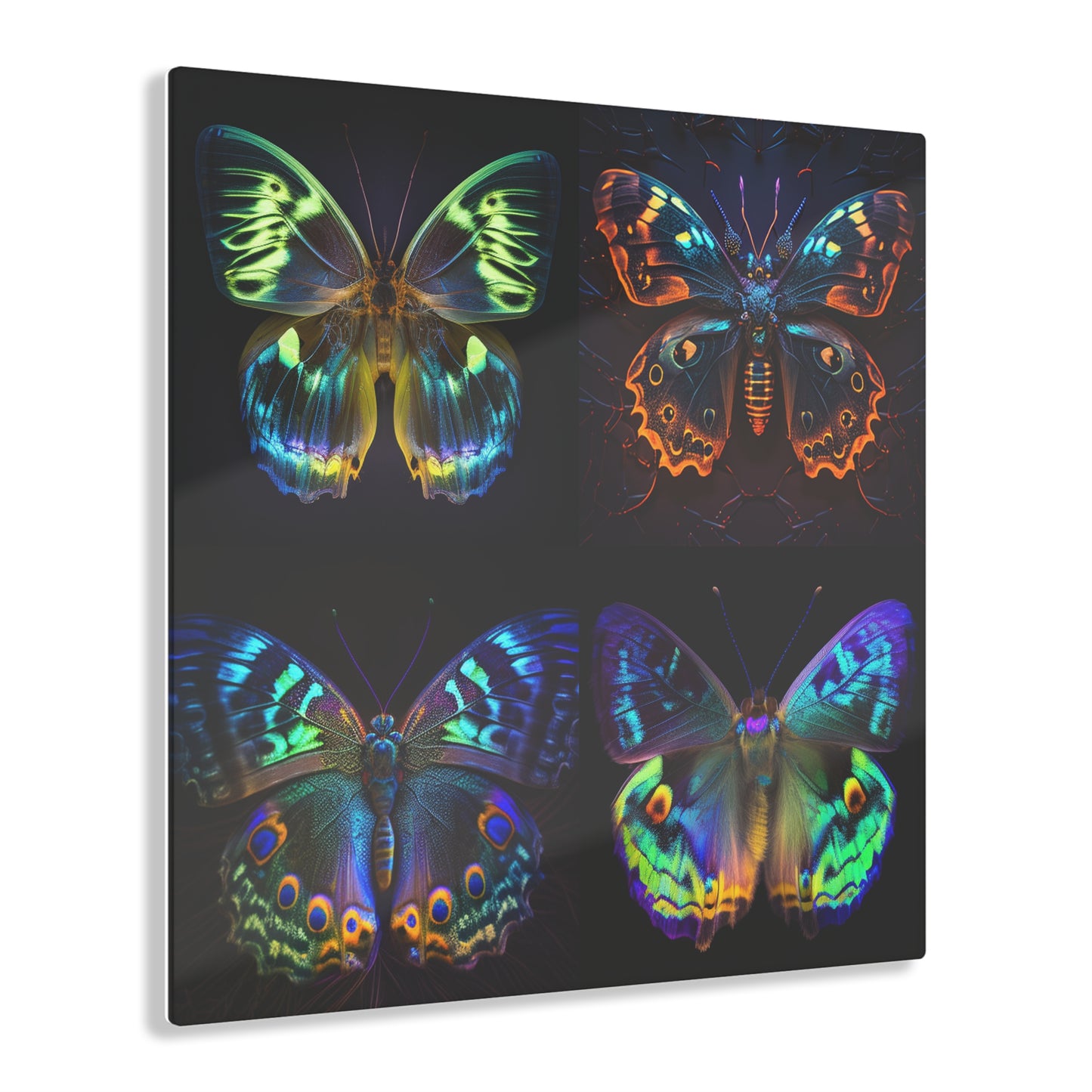 Acrylic Prints Neon Hue Butterfly 5