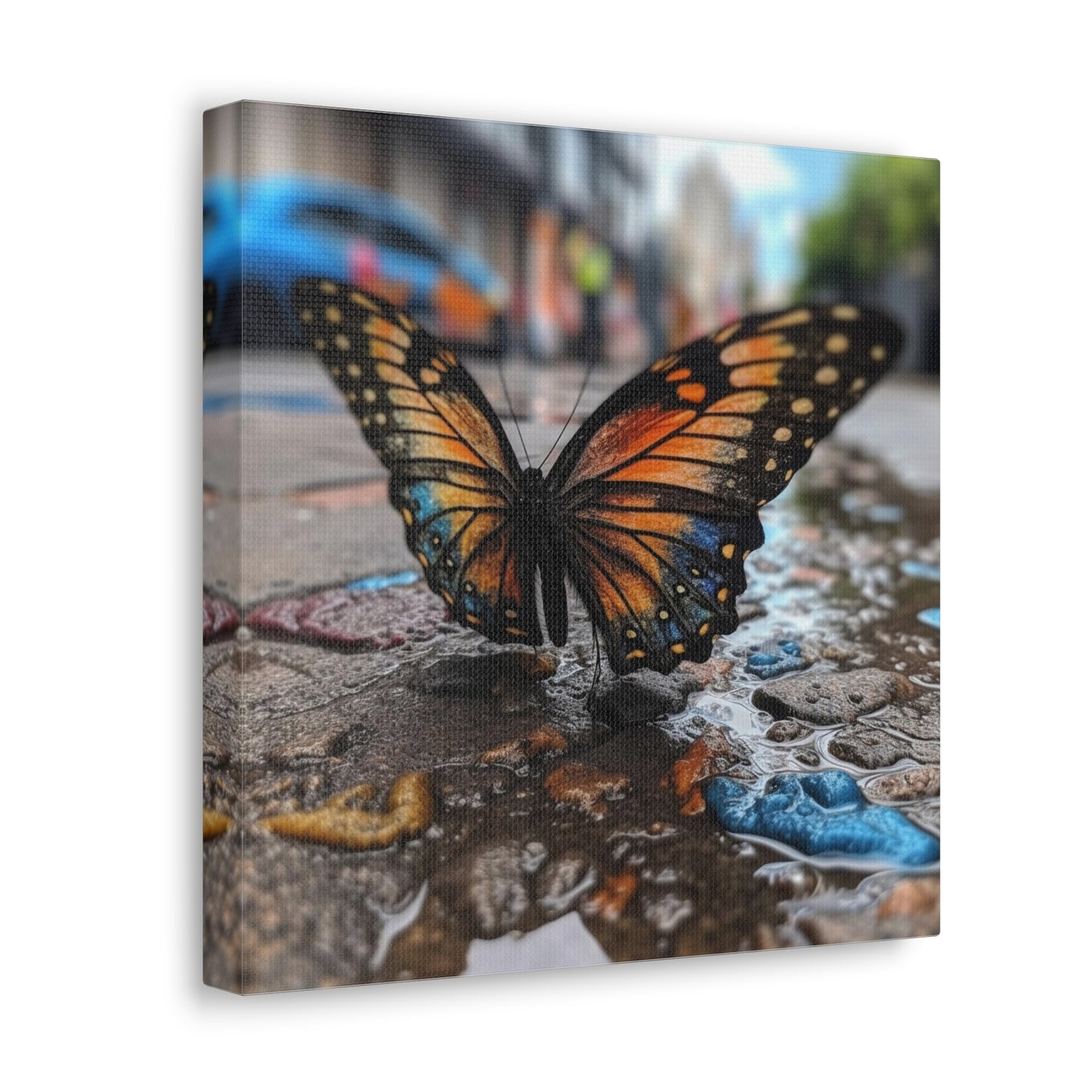 Canvas Gallery Wraps Water Butterfly Street 4